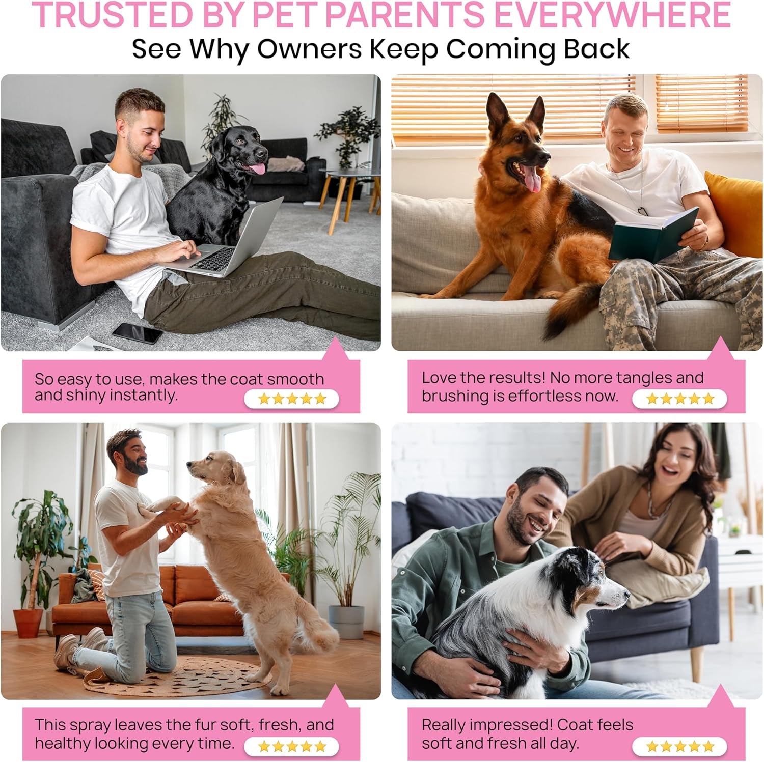 for Dogs Silk Therapy Detangling plus Shine Mist for Dogs | Best Detangling Spray for All Dogs & Puppies for Shiny Coats and Dematting | 8 Oz Bottle (Packaging May Vary)