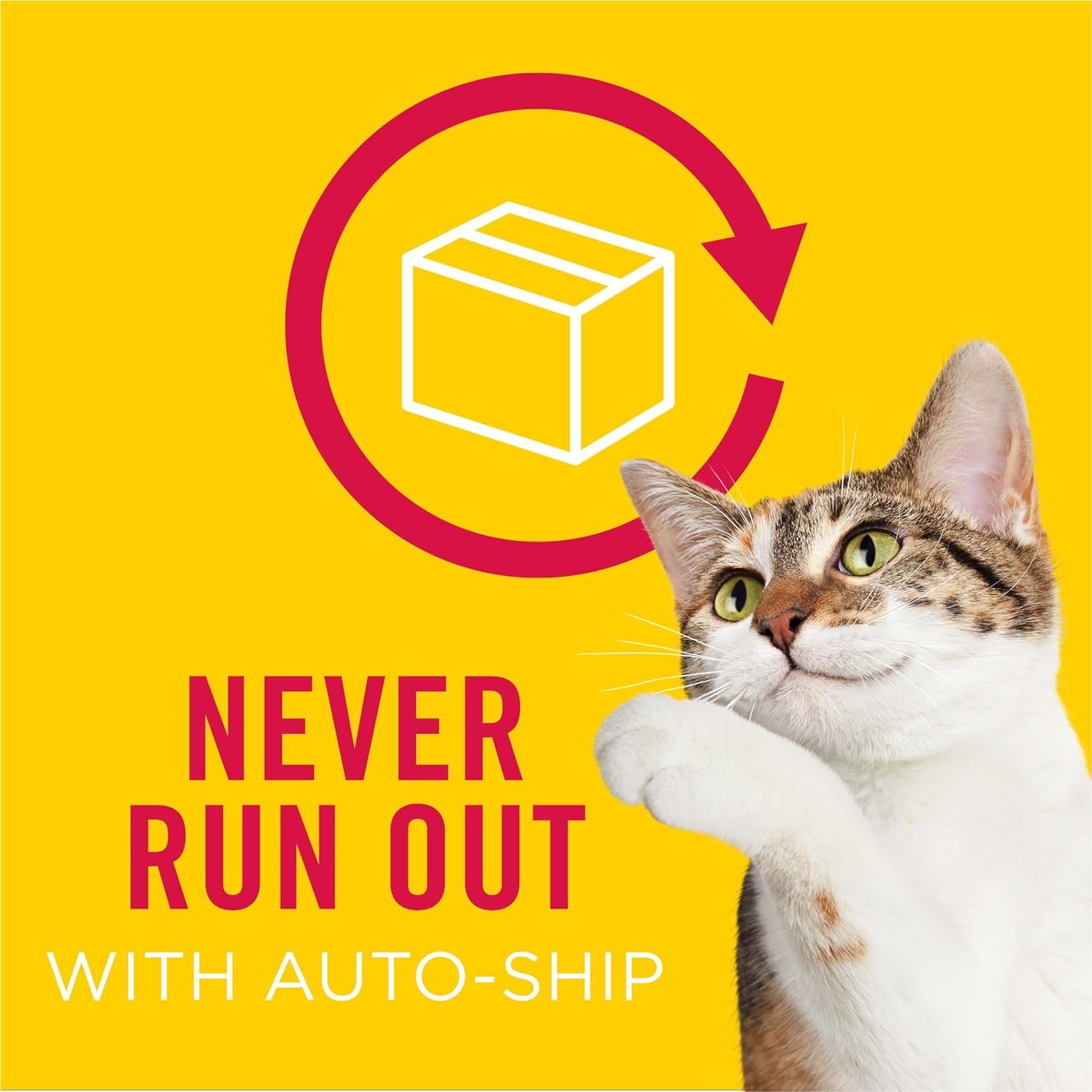 Purina  Wet Cat Food Variety Pack, Tasty Treasures Prime Filets (With Ocean Fish and Tuna, with Chicken and with Turkey) - 5.5 Ounce (Pack of 12)