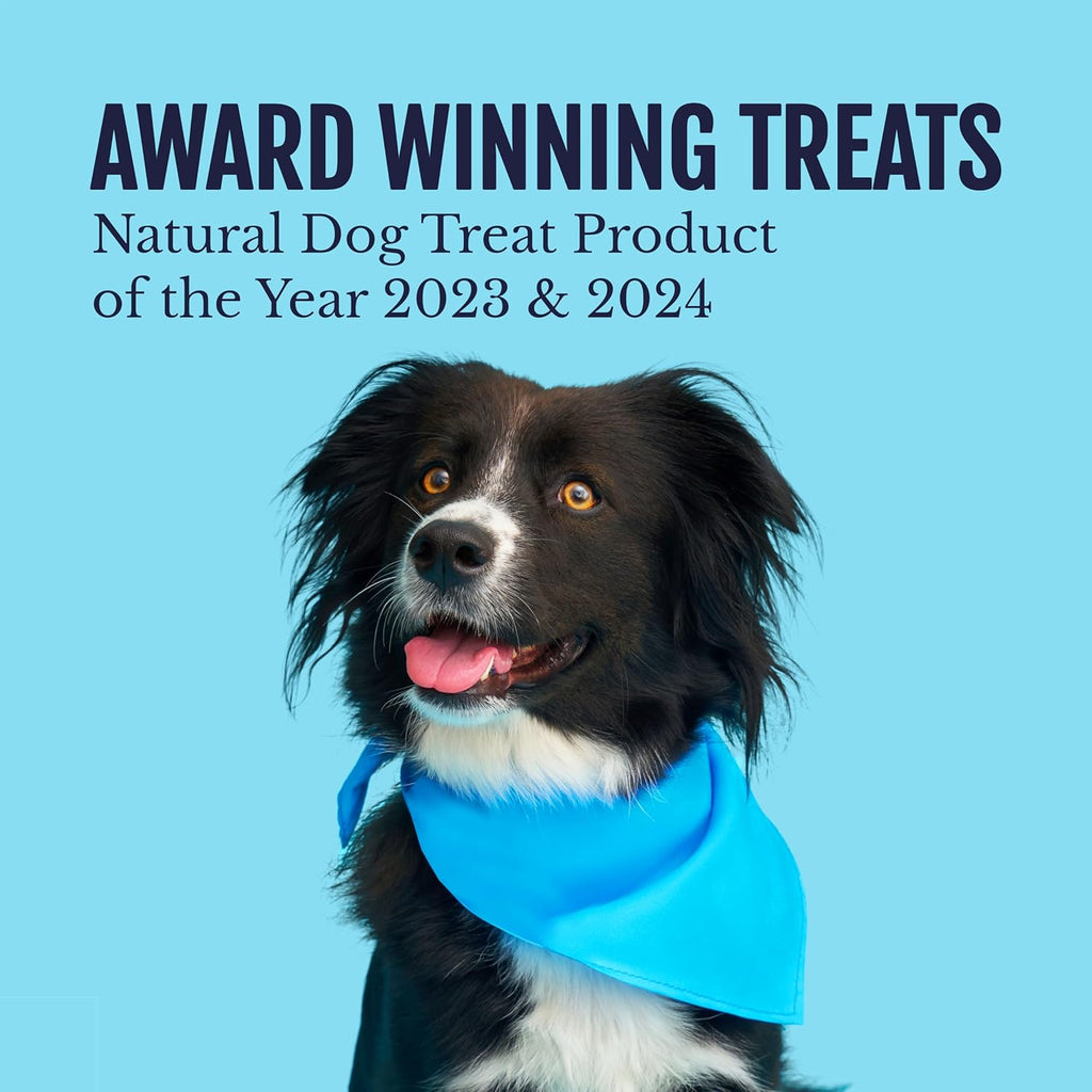 Salmon Bites Dog Treats 3 Pack, All Natural Human-Grade Training Treats for Dogs, Healthy Grain-Free Puppy & Adult Rewards, Protein Rich Soft Salmon Snacks