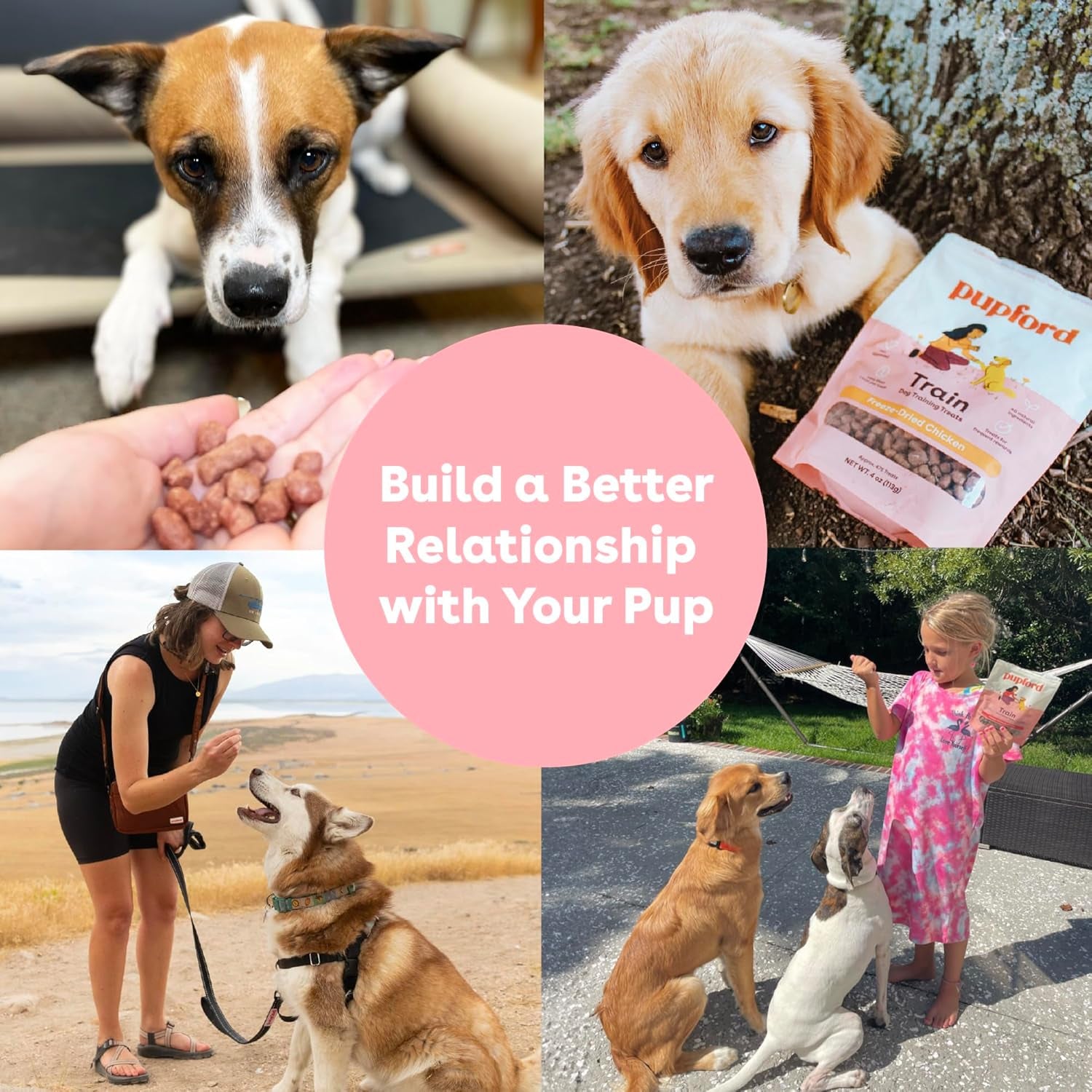 Freeze Dried Training Treats for Dogs & Puppies, 475+ Two Ingredient Bites (Chicken, 4 Oz)