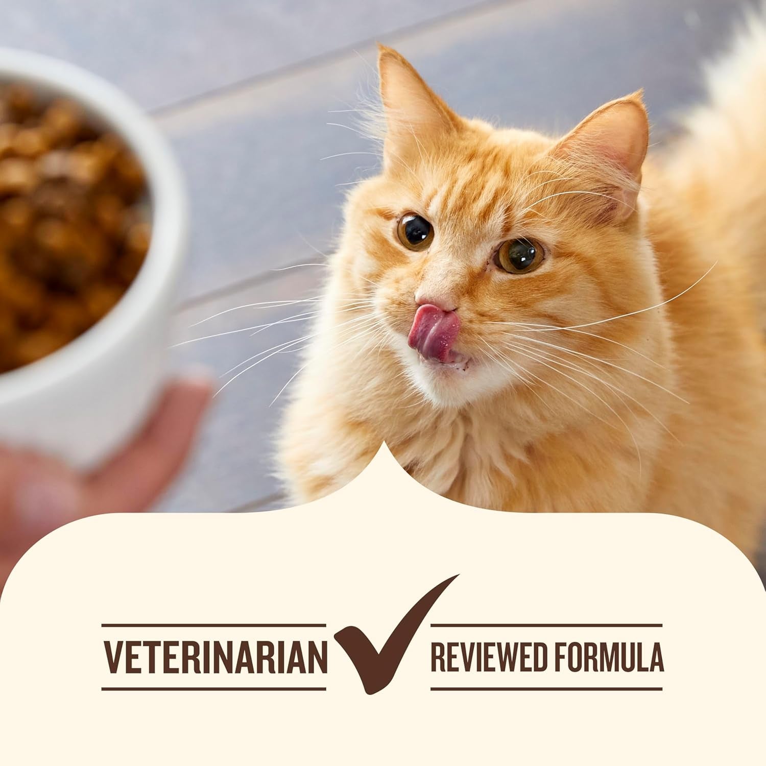 Indoor Complete Chicken, Lentils & Salmon Recipe Dry Cat Food, 6 Lb. Bag, Packaging May Vary (Rachael Ray)