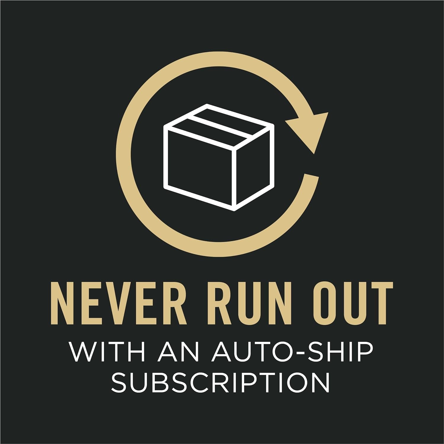 Sensitive Skin and Stomach Dog Food Dry, Adult Salmon & Rice Formula, Digestive Health - 40 Lb. Bag