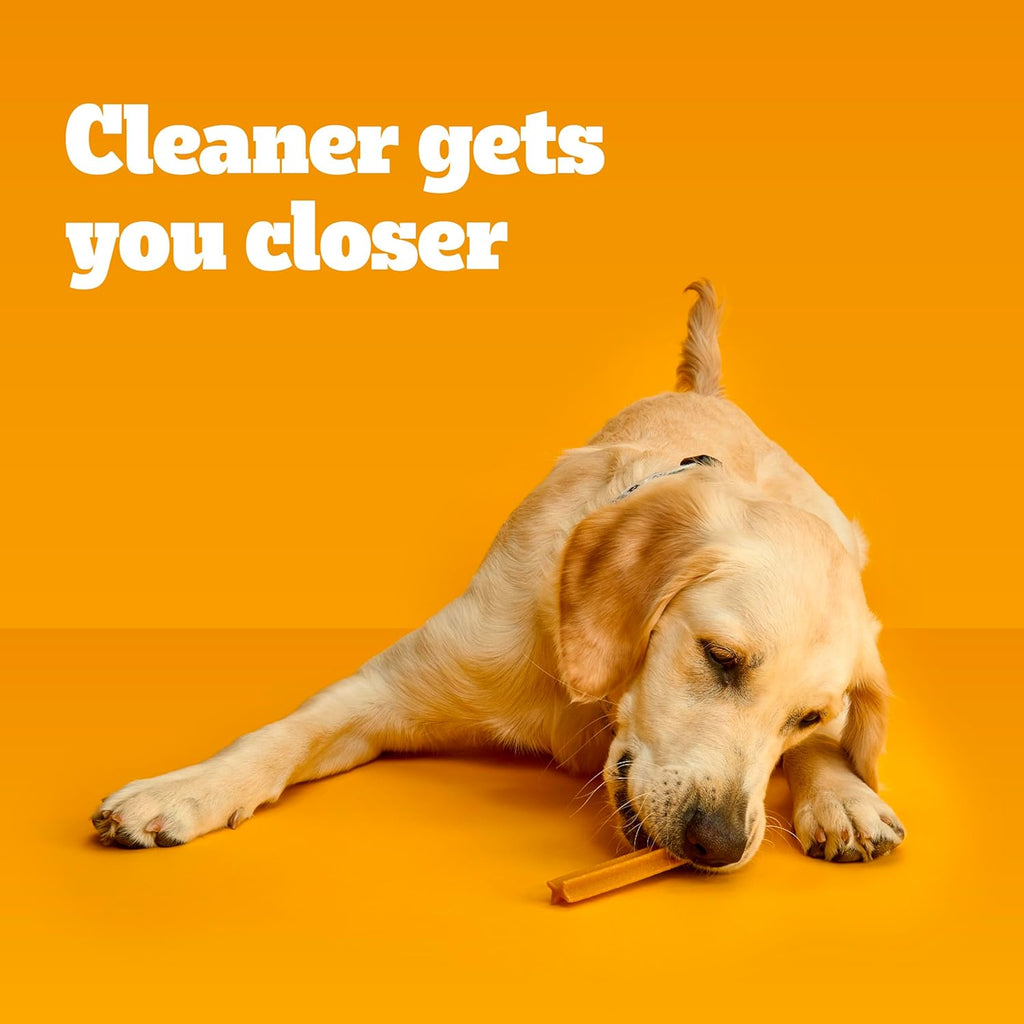 Dentastix Large Breed Dog Treats, Original, Beef & Fresh Flavor, 2.73 Lb. Variety Pack (51 Treats)