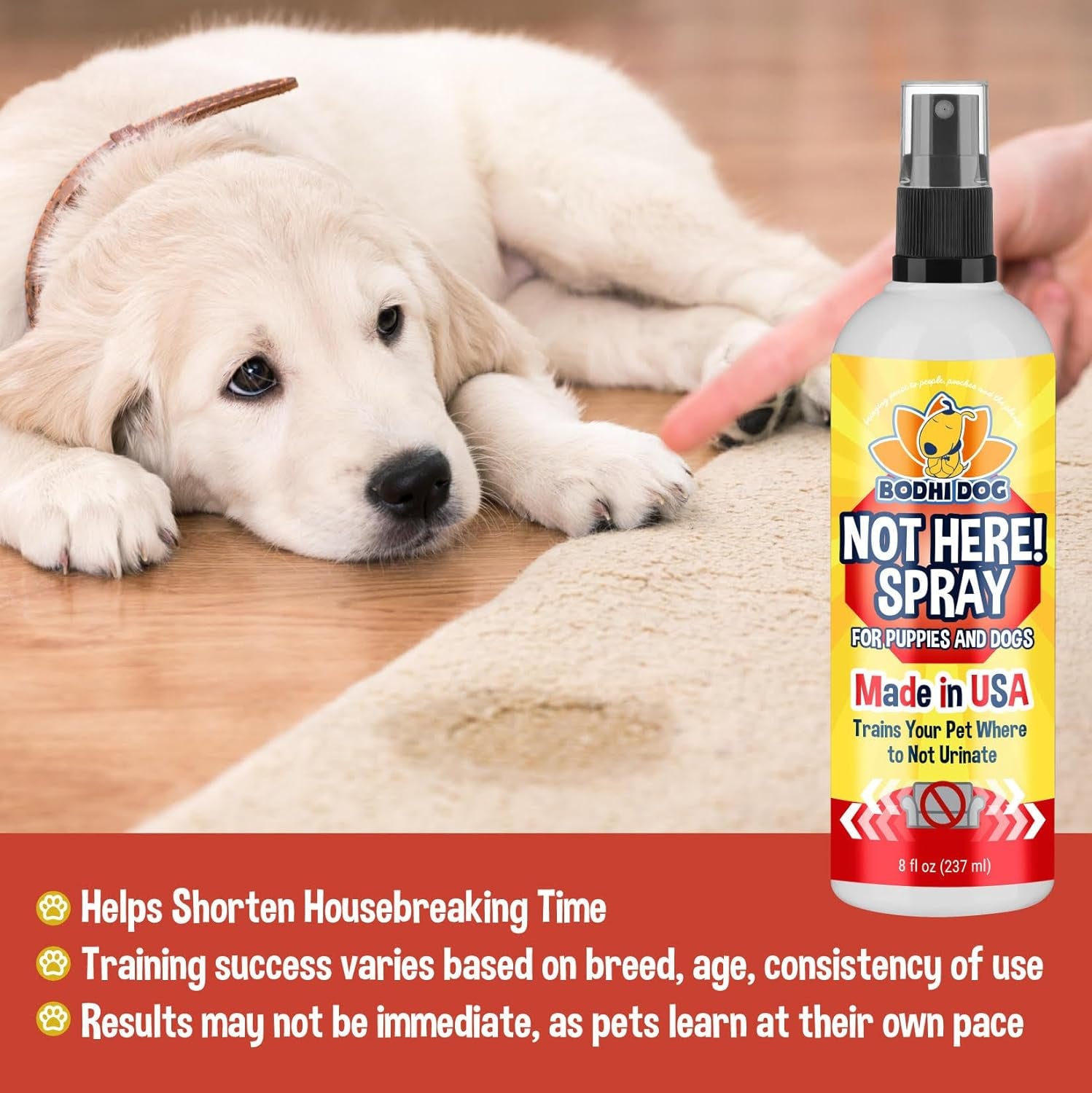 Not Here Spray - Trains Your Pet Where Not to Pee Indoors or Outdoors - anti Marking Deterrent for Furniture, Carpet and Floor - Training Corrector for Puppies & Dogs - Made in USA (8 Fl Oz)