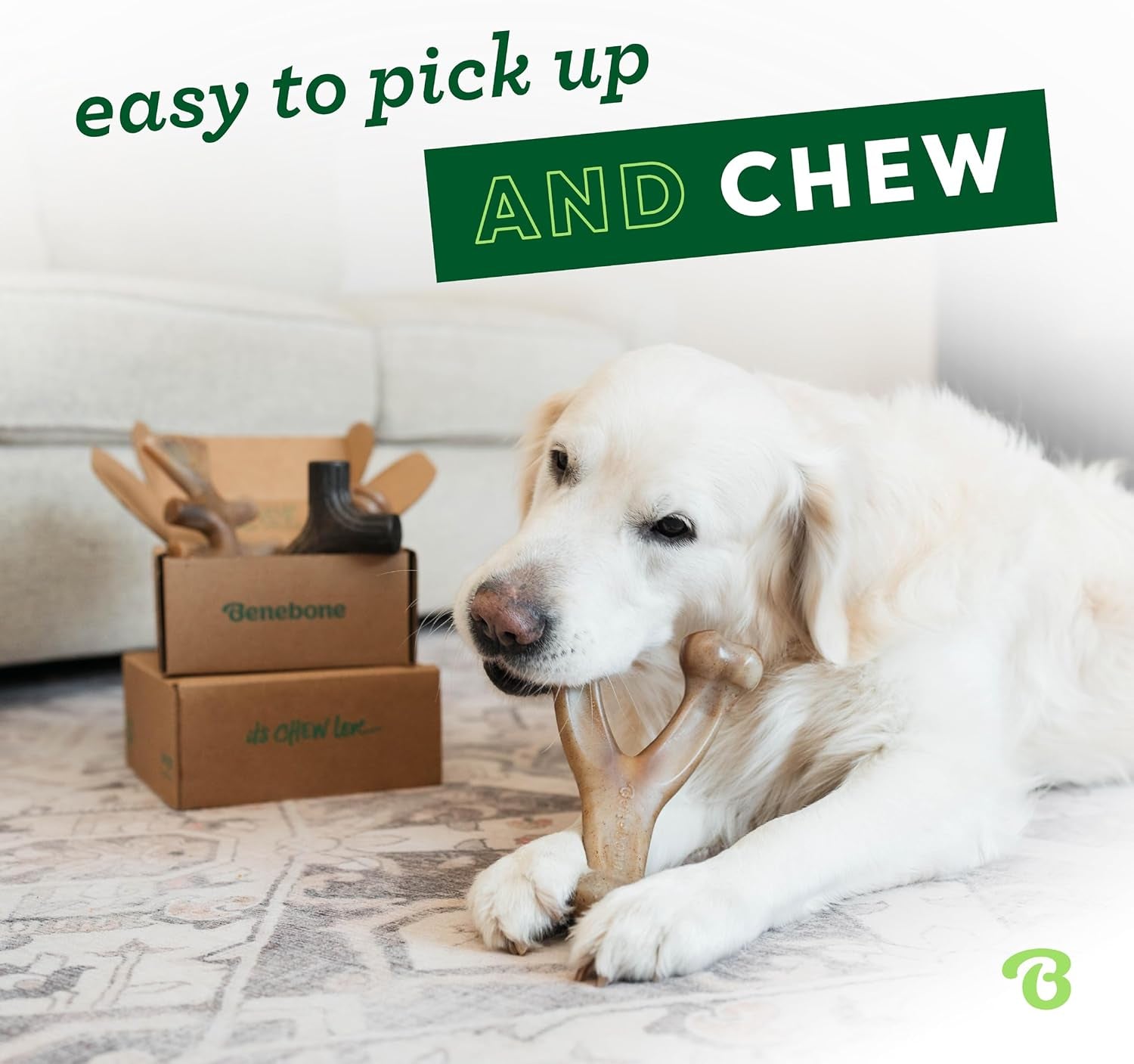 Medium 4-Pack Dog Chew Toys for Aggressive Chewers, Made in USA, 60Lbs and Under