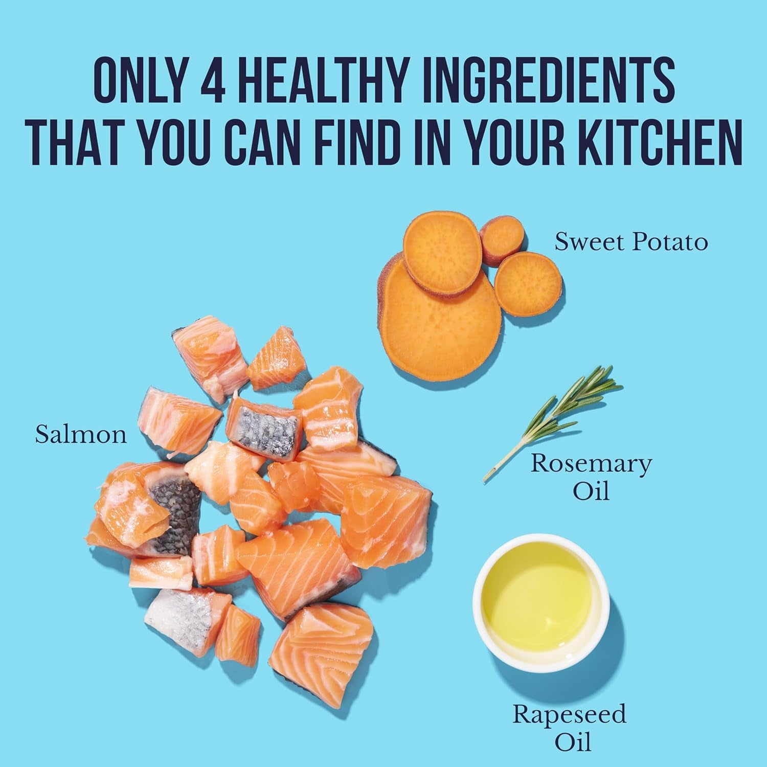 Salmon Bites Dog Treats 3 Pack, All Natural Human-Grade Training Treats for Dogs, Healthy Grain-Free Puppy & Adult Rewards, Protein Rich Soft Salmon Snacks