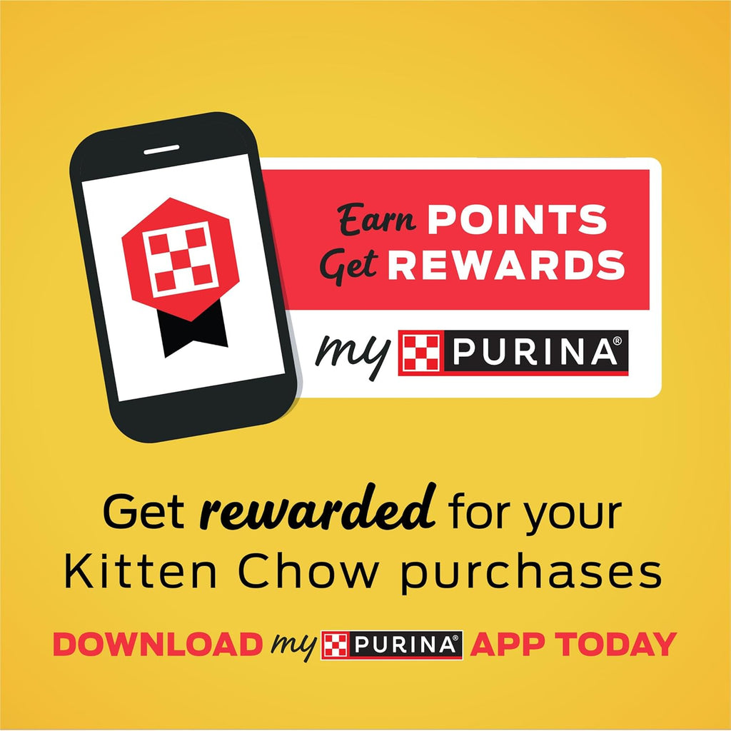 Purina Kitten Chow Dry Cat Food
