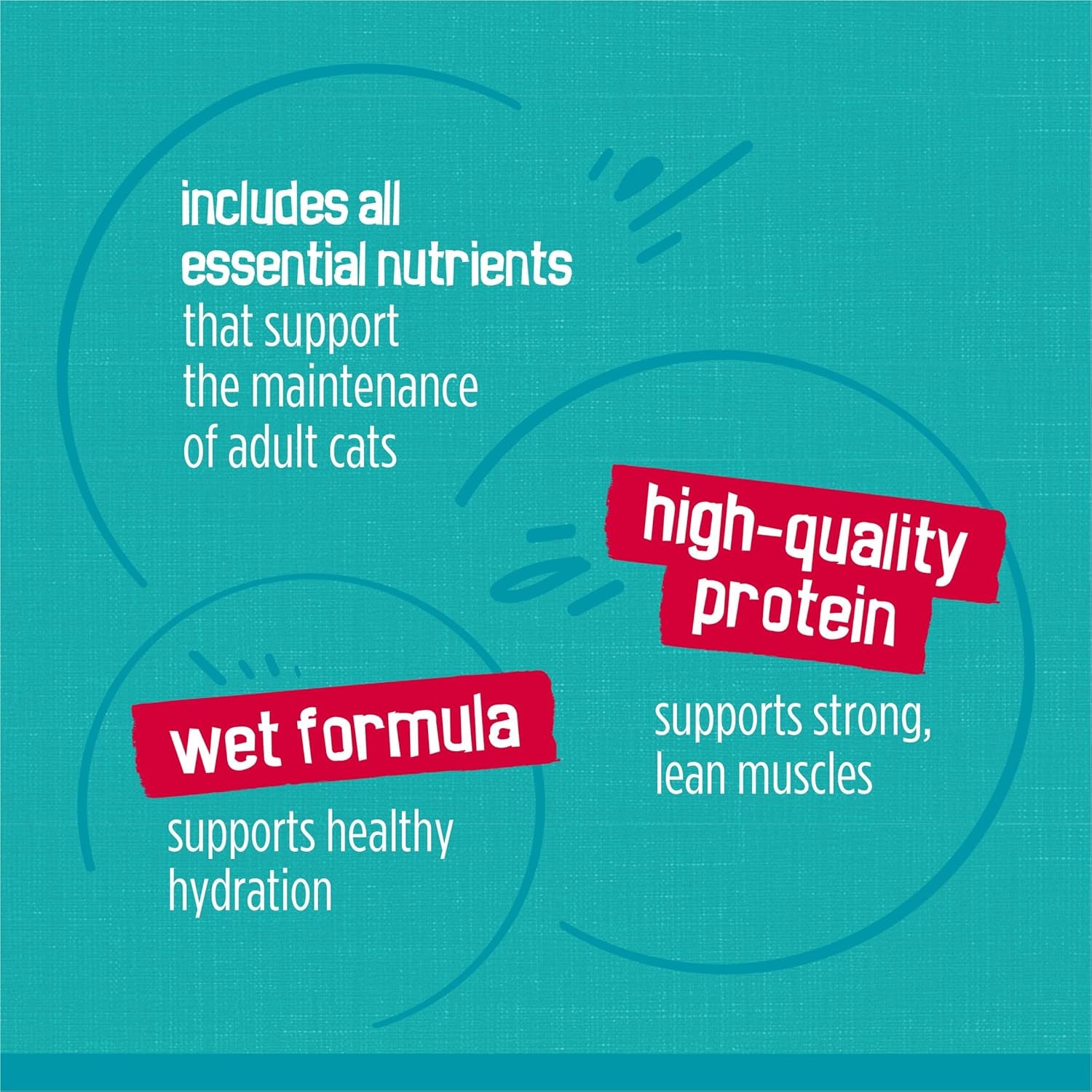 Purina  Wet Cat Food Variety Pack, Tasty Treasures Prime Filets (With Ocean Fish and Tuna, with Chicken and with Turkey) - 5.5 Ounce (Pack of 12)