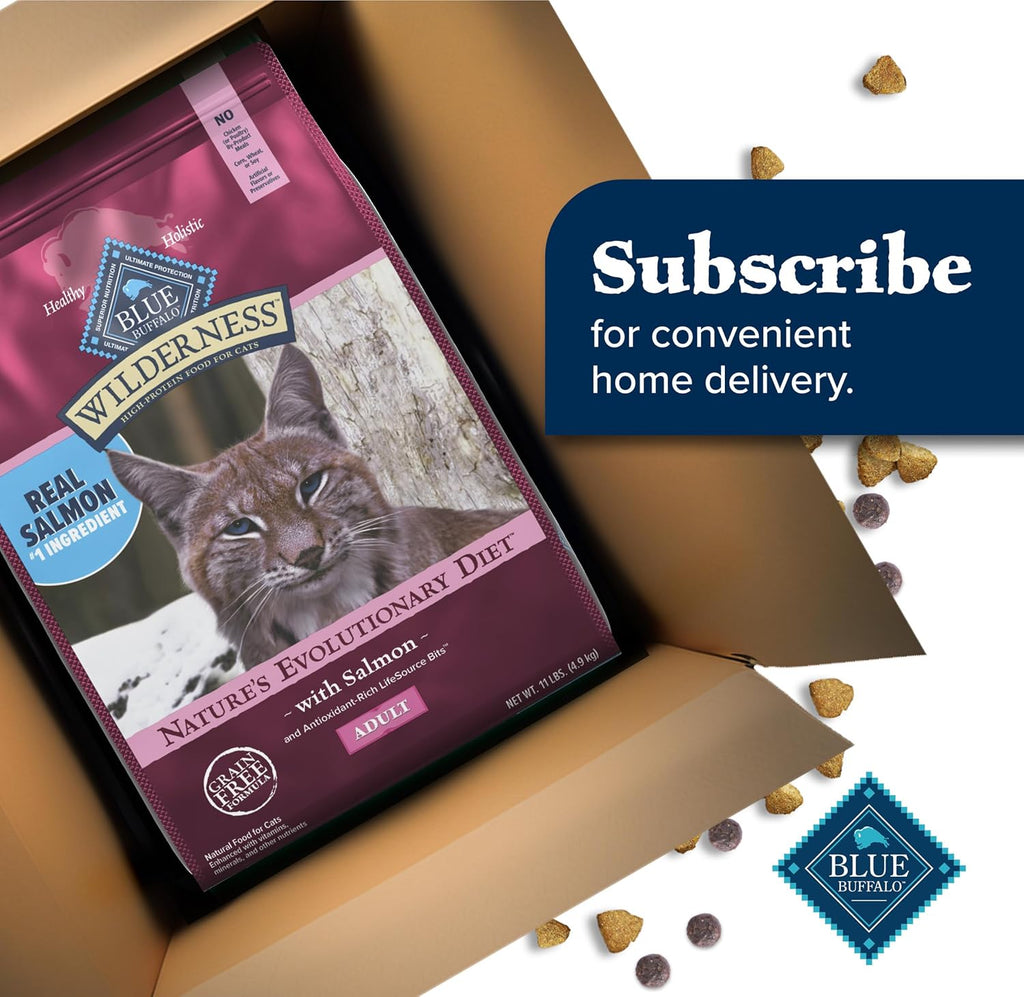 Blue Buffalo Wilderness Natural High Protein, Grain Free Dry Food for Adult Cats, Salmon, 11-Lb Bag