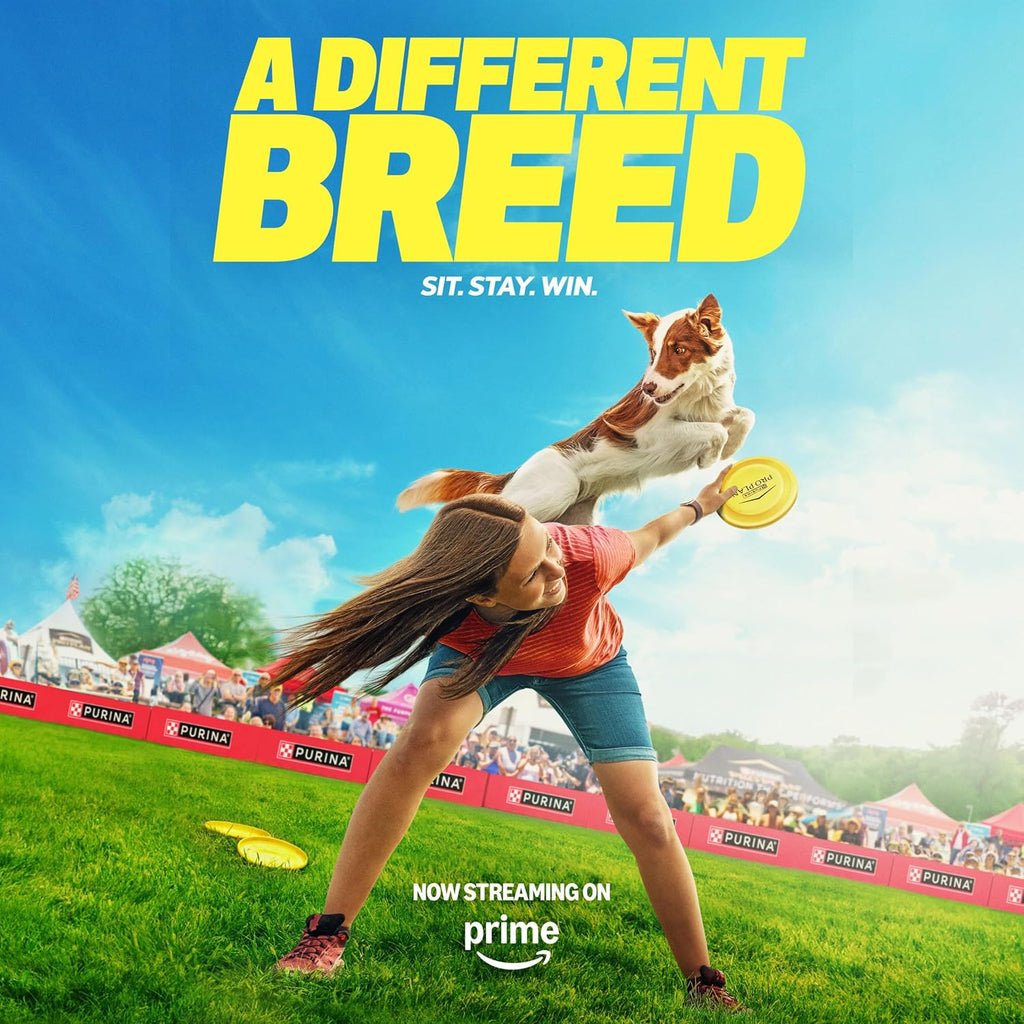 Sensitive Skin and Stomach Dog Food Dry, Adult Salmon & Rice Formula, Digestive Health - 40 Lb. Bag