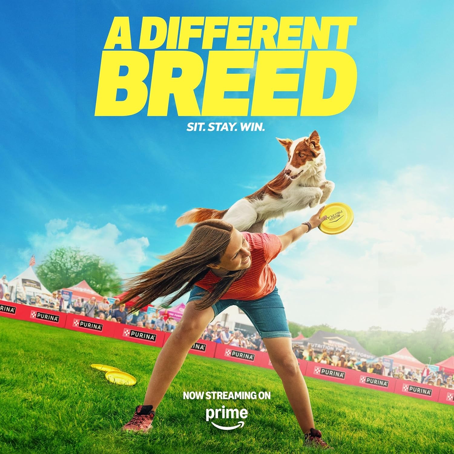 Sensitive Skin and Stomach Dog Food Dry, Adult Salmon & Rice Formula, Digestive Health - 40 Lb. Bag