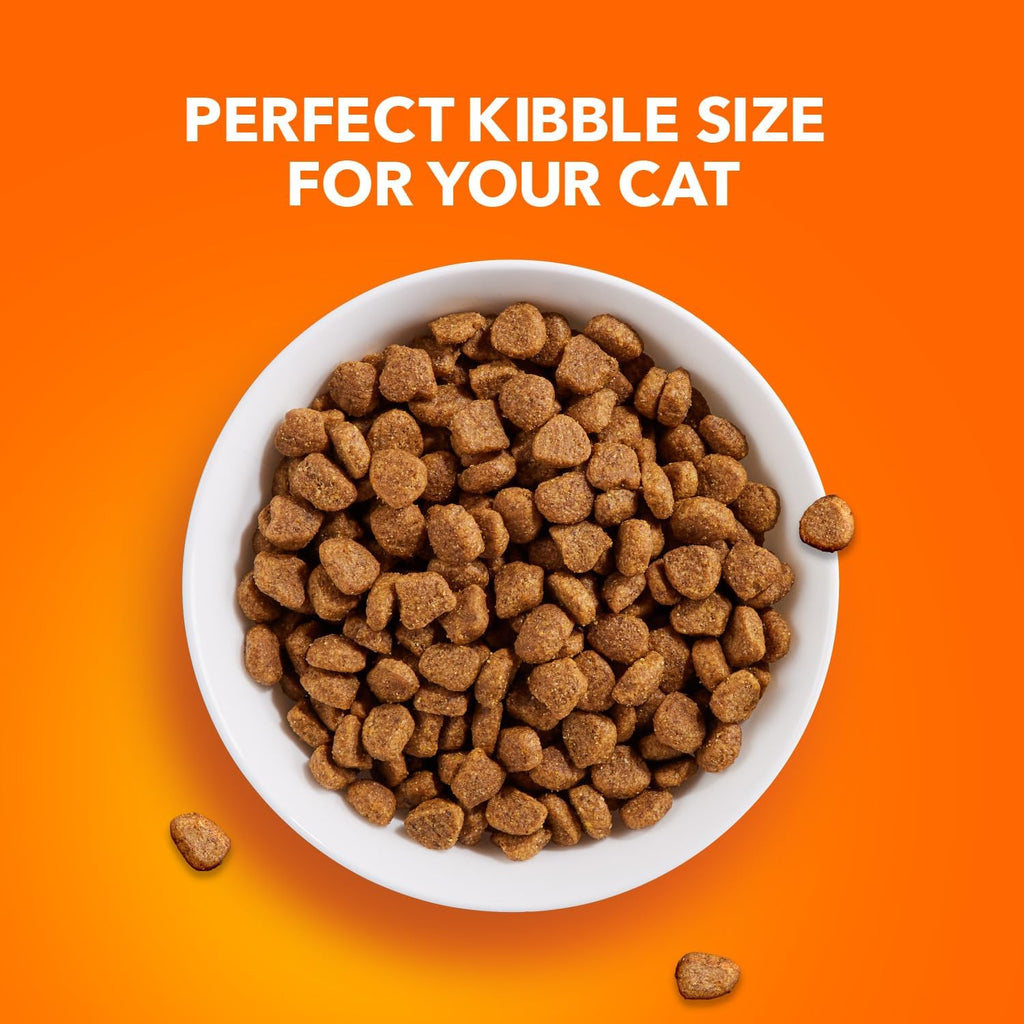 Proactive Health Adult Healthy Dry Cat Food with Chicken, 22 Lb. Bag