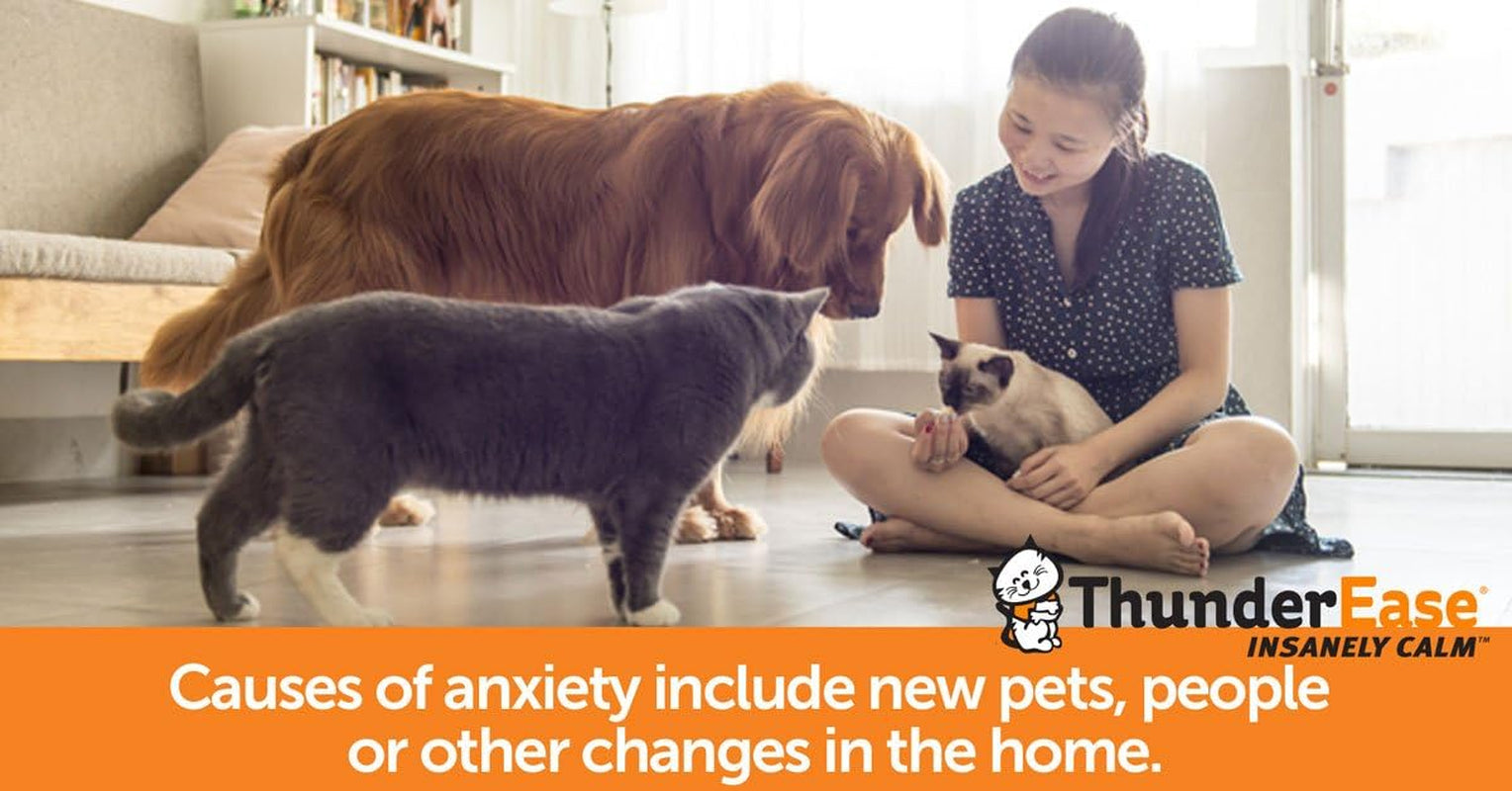 Multicat Calming Pheromone Diffuser Kit | Powered by FELIWAY | Reduce Cat Conflict, Tension and Fighting (30 Day Supply)