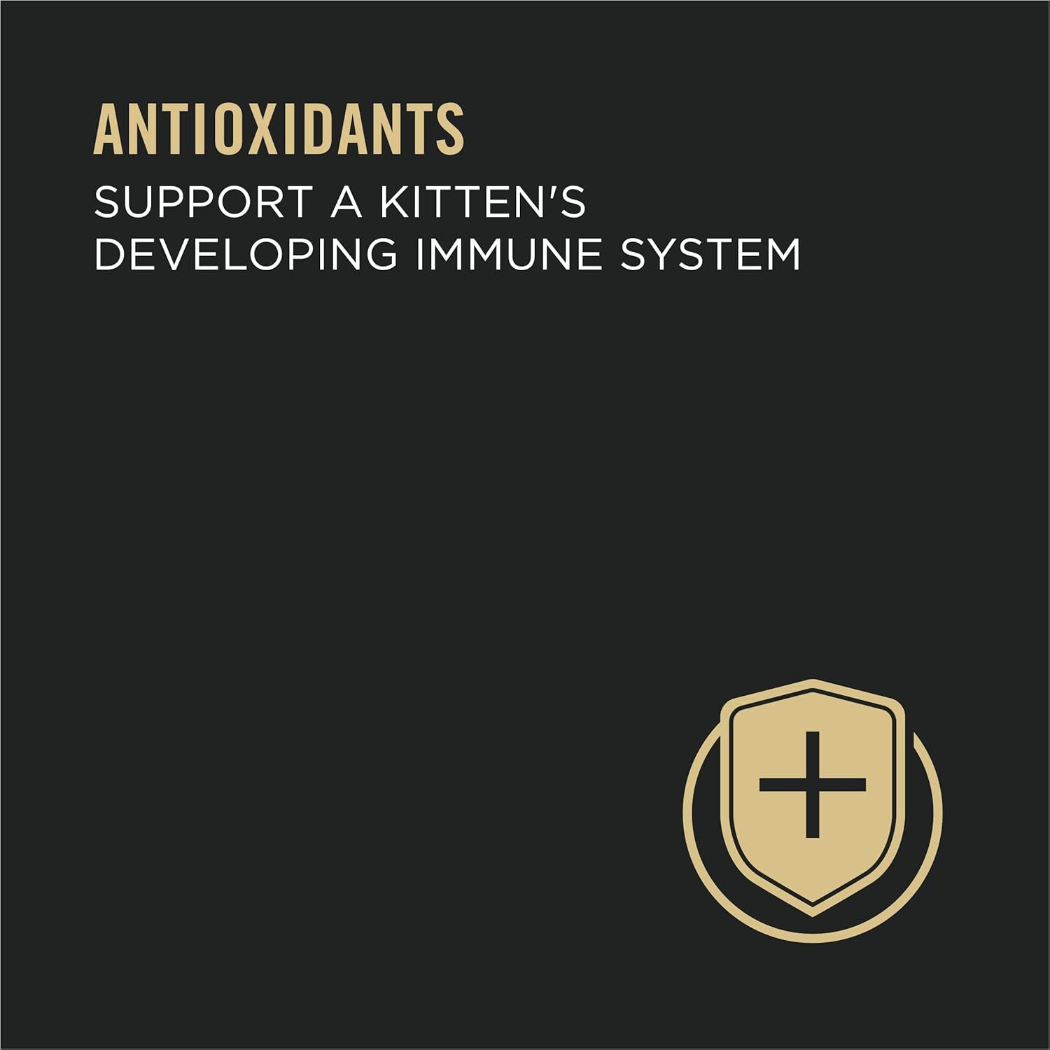 High Protein Wet Kitten Food Variety Pack, DEVELOPMENT Kitten Favorites - (Pack of 24) 3 Oz. Cans