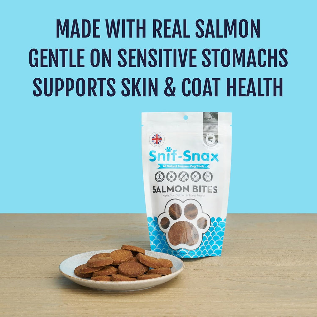 Salmon Bites Dog Treats 3 Pack, All Natural Human-Grade Training Treats for Dogs, Healthy Grain-Free Puppy & Adult Rewards, Protein Rich Soft Salmon Snacks
