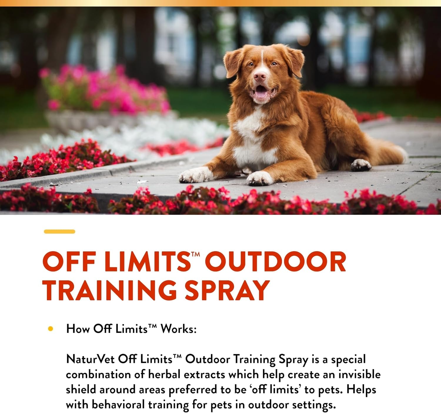 off Limits Pet Training Spray for Dogs & Cats – Deters Pets from Outdoor Areas – Includes Herbal Extracts – Non-Staining Sprays for Training Pets – 32 Fl. Oz.