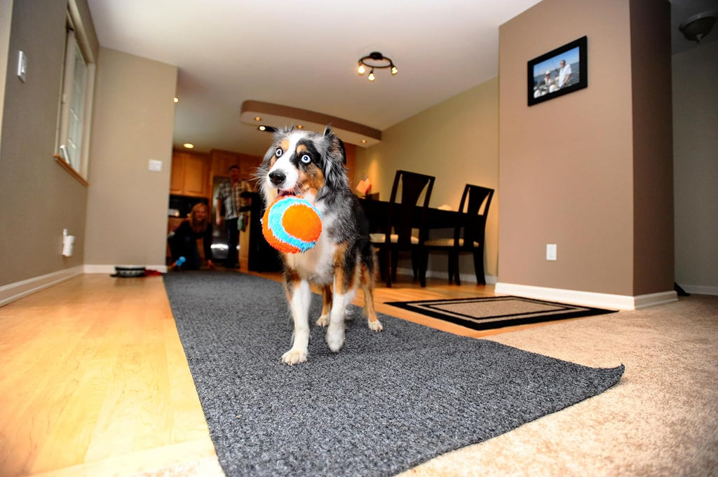 Indoor Fetch Ball Dog Toy for Dogs - Interactive Dog Toys for Boredom, 4.75 Inch, Orange and Blue