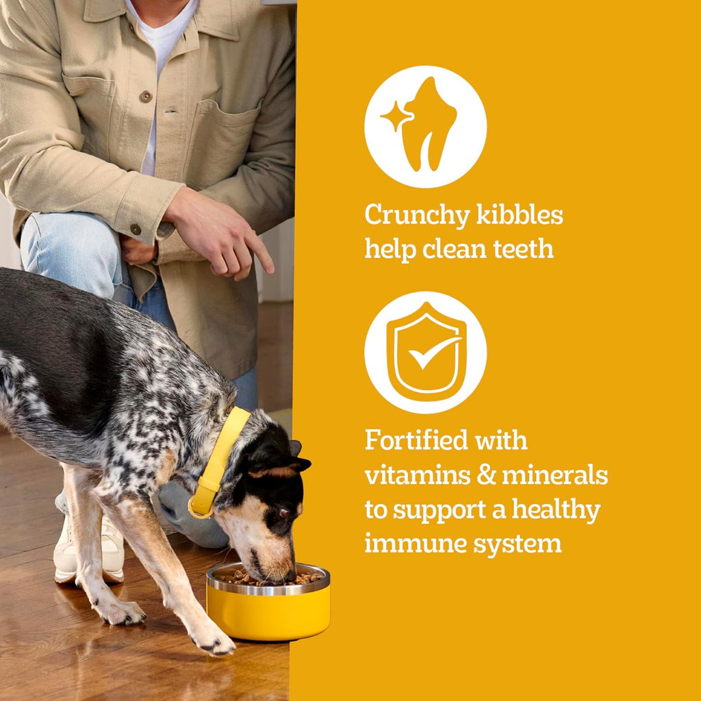 High Protein Adult Dry Dog Food, Beef and Lamb Flavor, 18 Lb. Bag