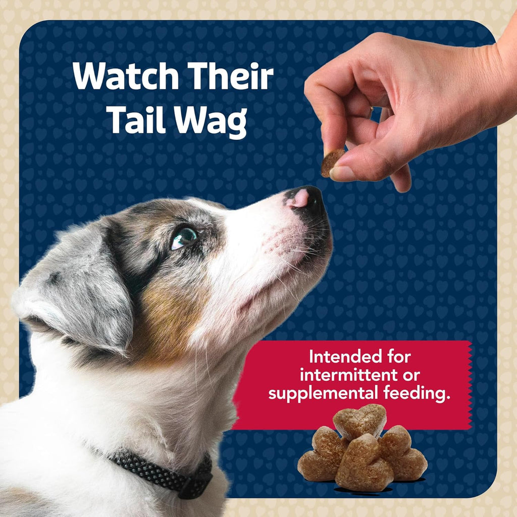 Bits Soft Dog Treats for Training, Made with Natural Ingredients & Enhanced with DHA, Beef Recipe, 19-Oz Bag