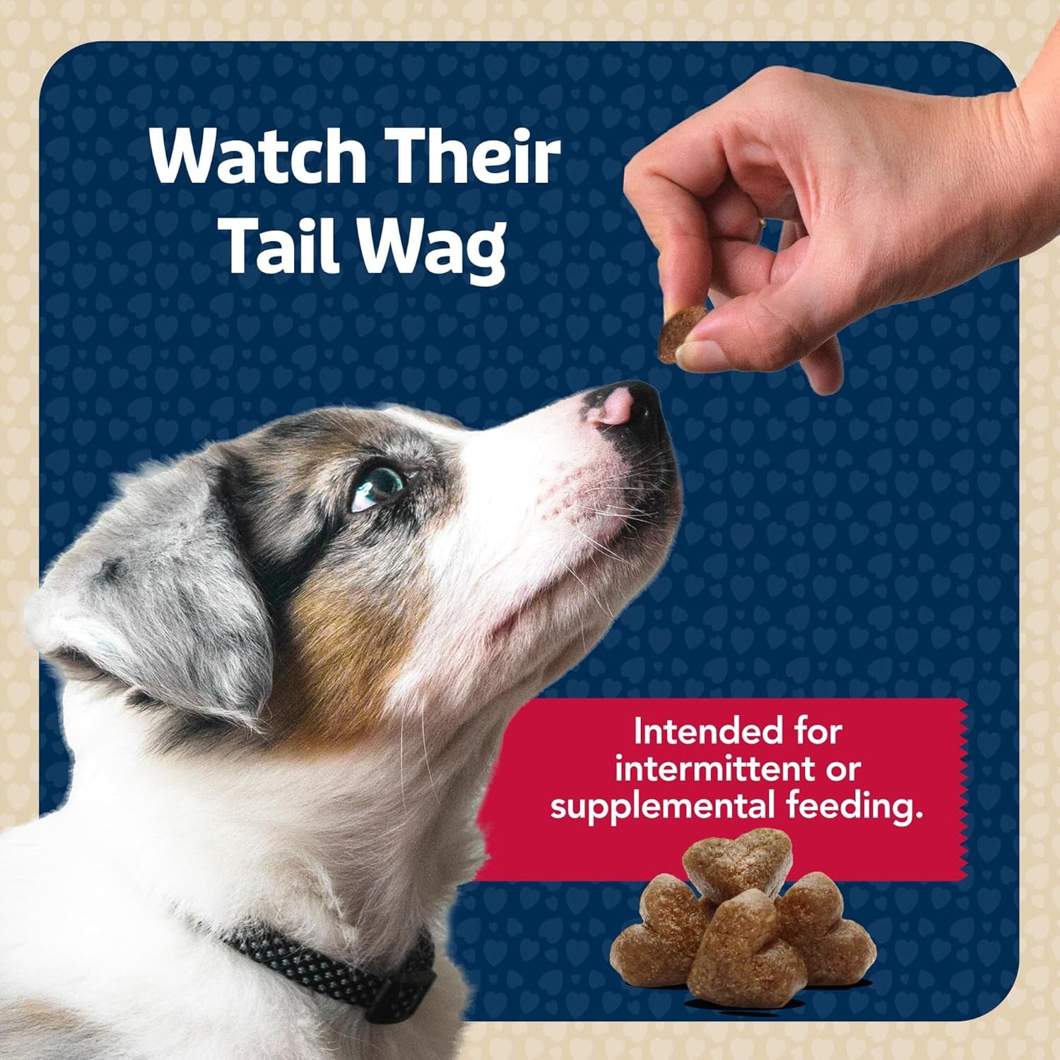 Bits Soft Dog Treats for Training, Made with Natural Ingredients & Enhanced with DHA, Beef Recipe, 19-Oz Bag