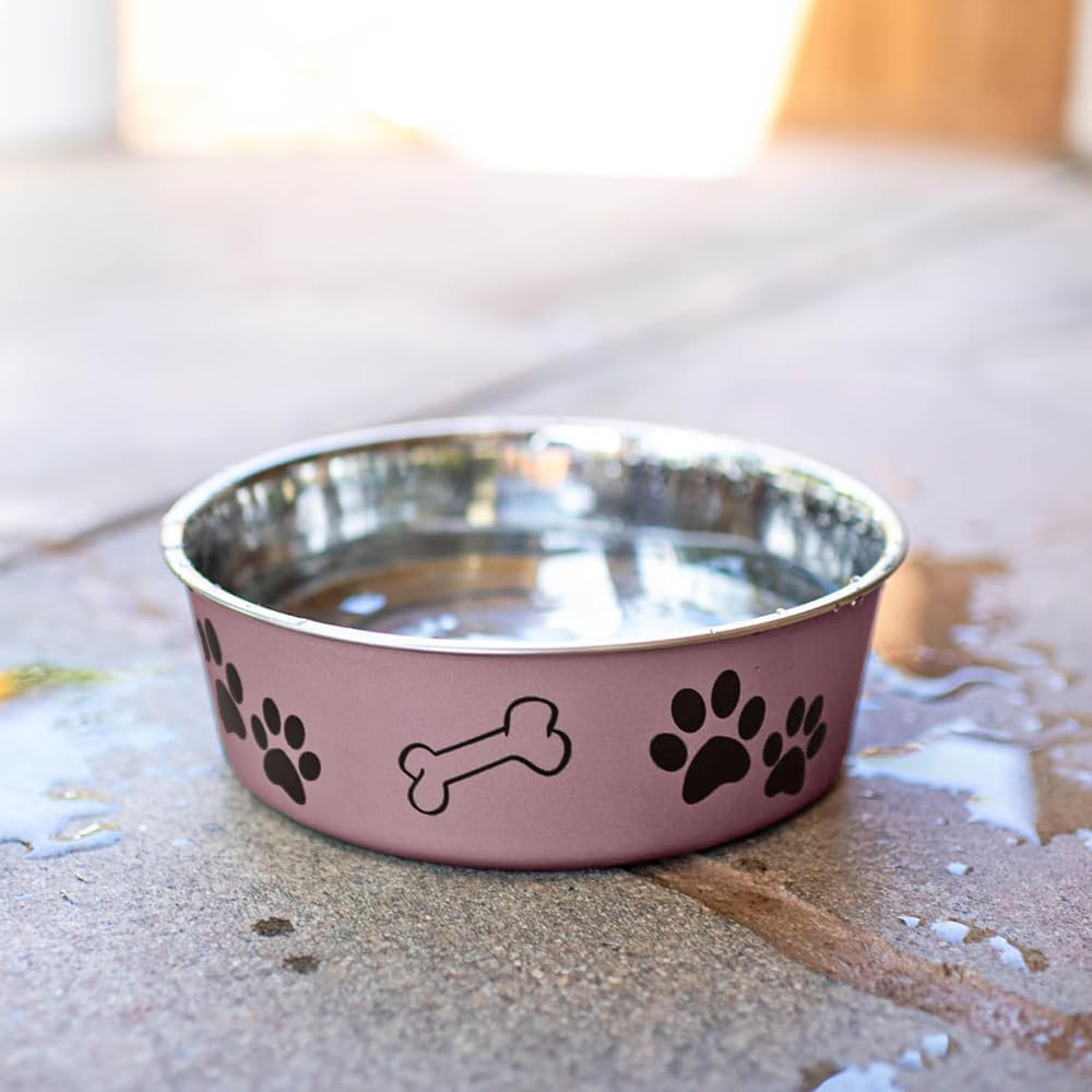 Bella Dog Bowls- Stainless Steel Dog & Cat Bowls - Spill Proof Dog Food Bowl, Cat Bowl, Puppy Essentials & Pet Supplies Great for Home & Travel (Small 10-20 Lbs, Grape)