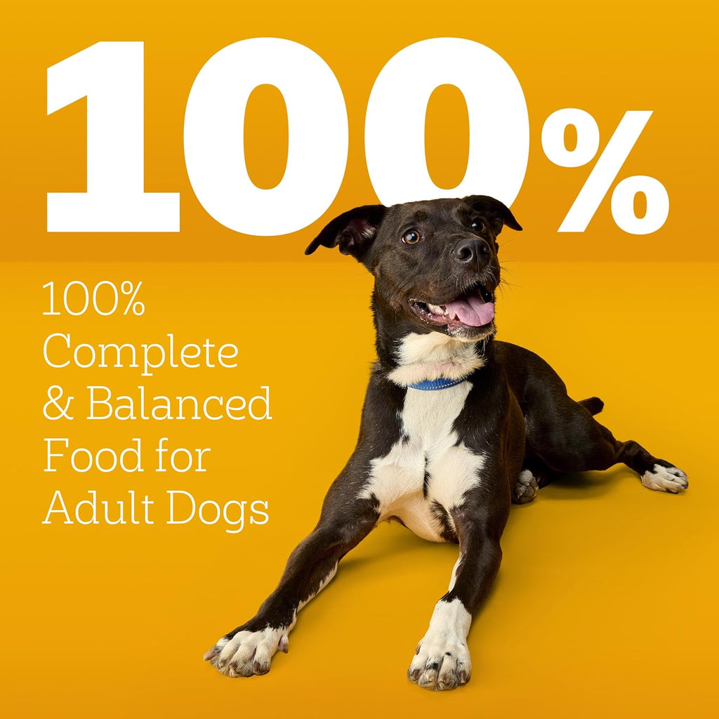 High Protein Adult Dry Dog Food, Beef and Lamb Flavor, 18 Lb. Bag