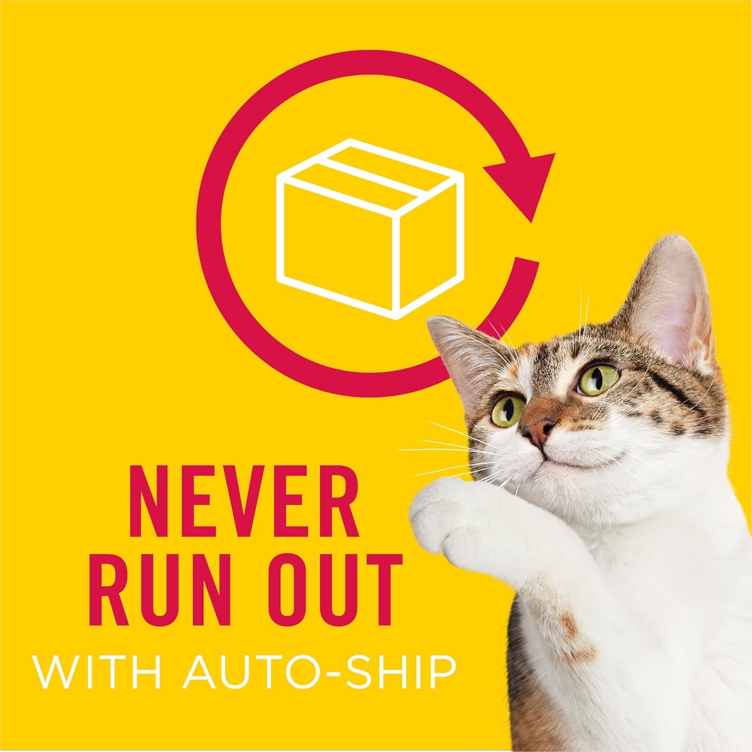 Purina  Gravy Wet Cat Food Variety Pack, Surfin’ and Turfin’ Prime Filets Favorites - (Pack of 40) 5.5 Oz. Cans