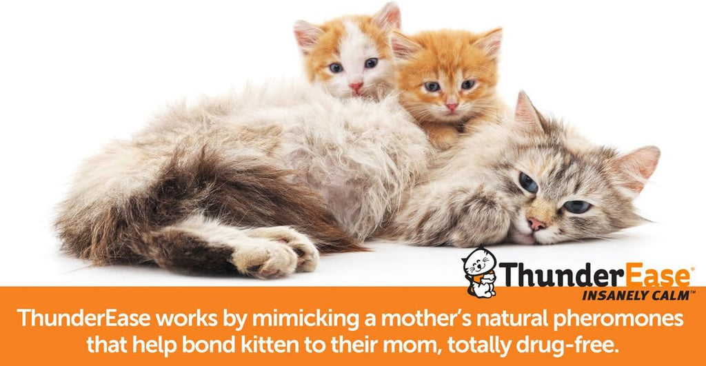 Multicat Calming Pheromone Diffuser Kit | Powered by FELIWAY | Reduce Cat Conflict, Tension and Fighting (30 Day Supply)