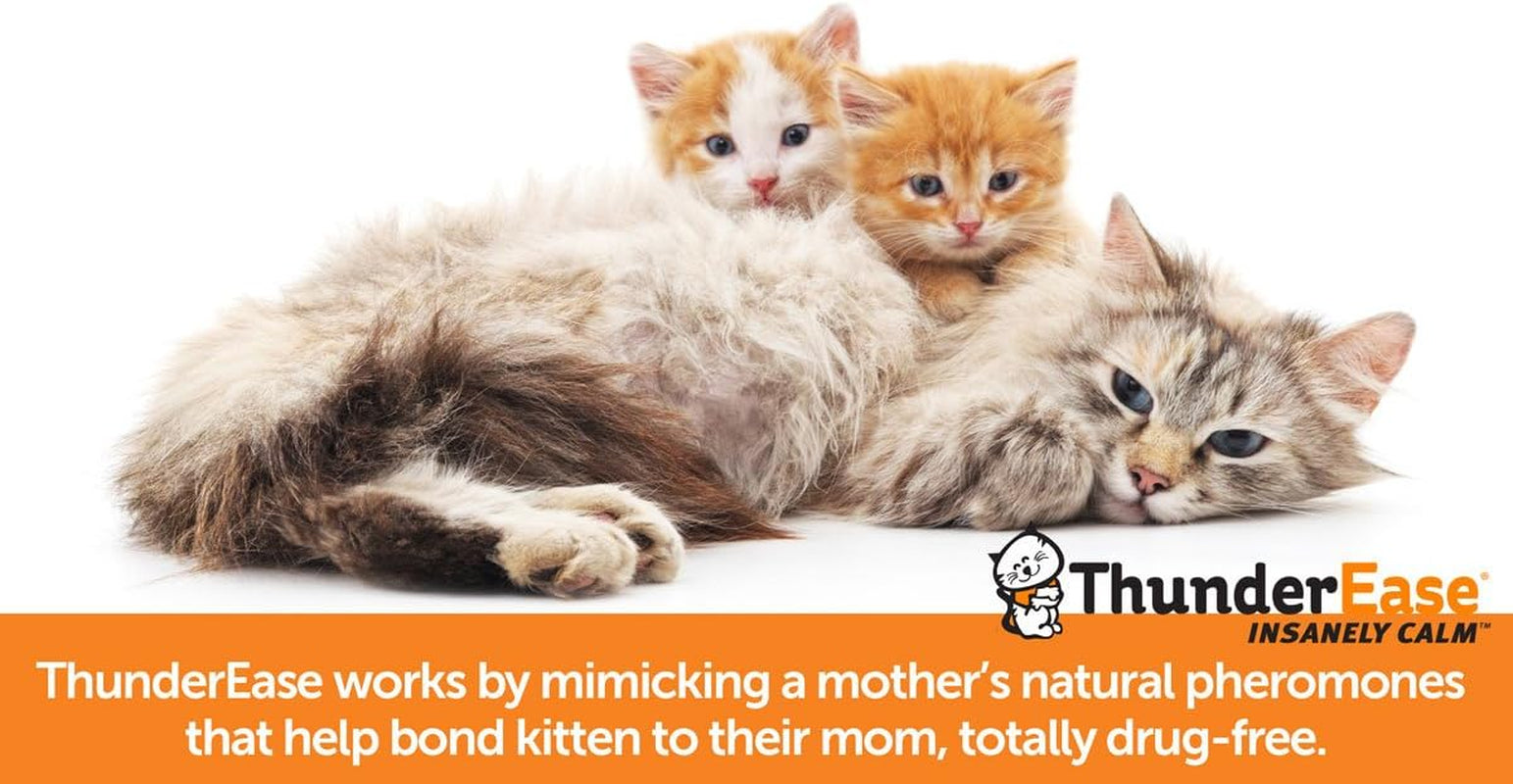 Multicat Calming Pheromone Diffuser Kit | Powered by FELIWAY | Reduce Cat Conflict, Tension and Fighting (30 Day Supply)