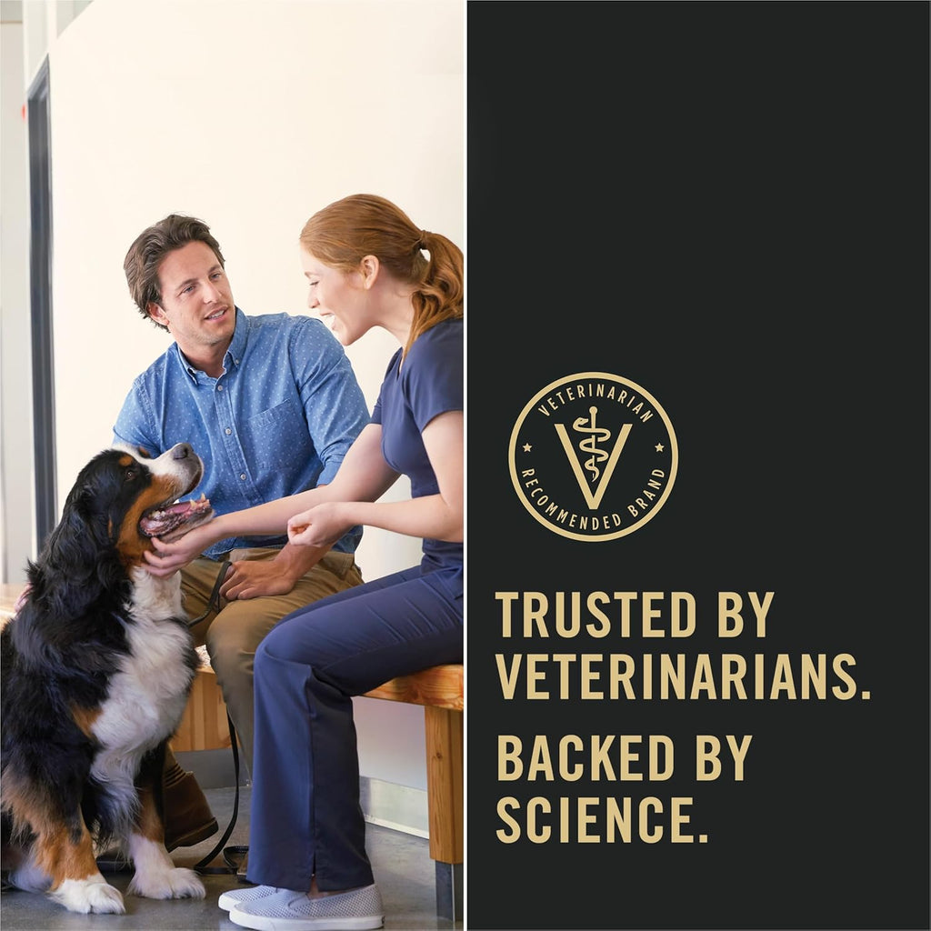 Sensitive Skin and Stomach Dog Food Dry, Adult Salmon & Rice Formula, Digestive Health - 40 Lb. Bag