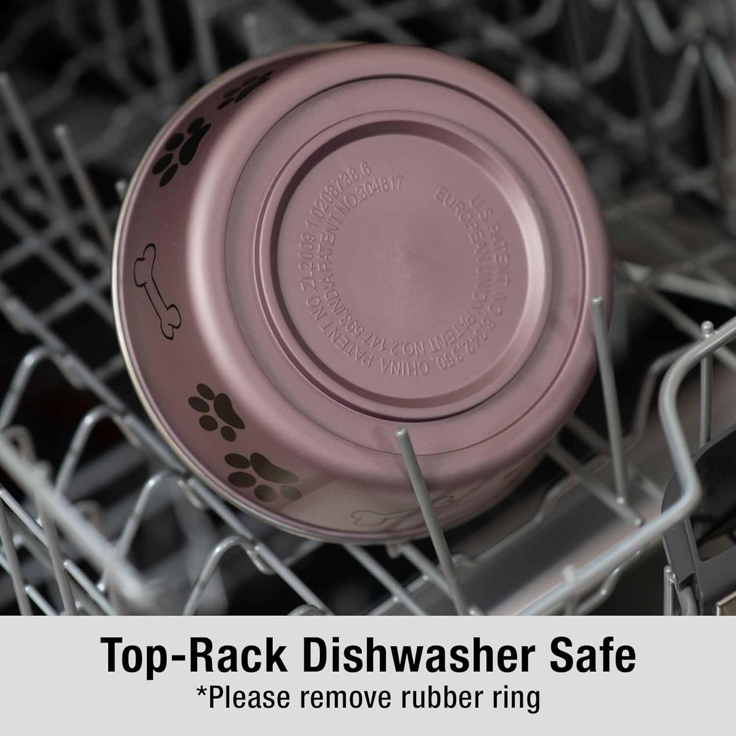 Bella Dog Bowls- Stainless Steel Dog & Cat Bowls - Spill Proof Dog Food Bowl, Cat Bowl, Puppy Essentials & Pet Supplies Great for Home & Travel (Small 10-20 Lbs, Grape)