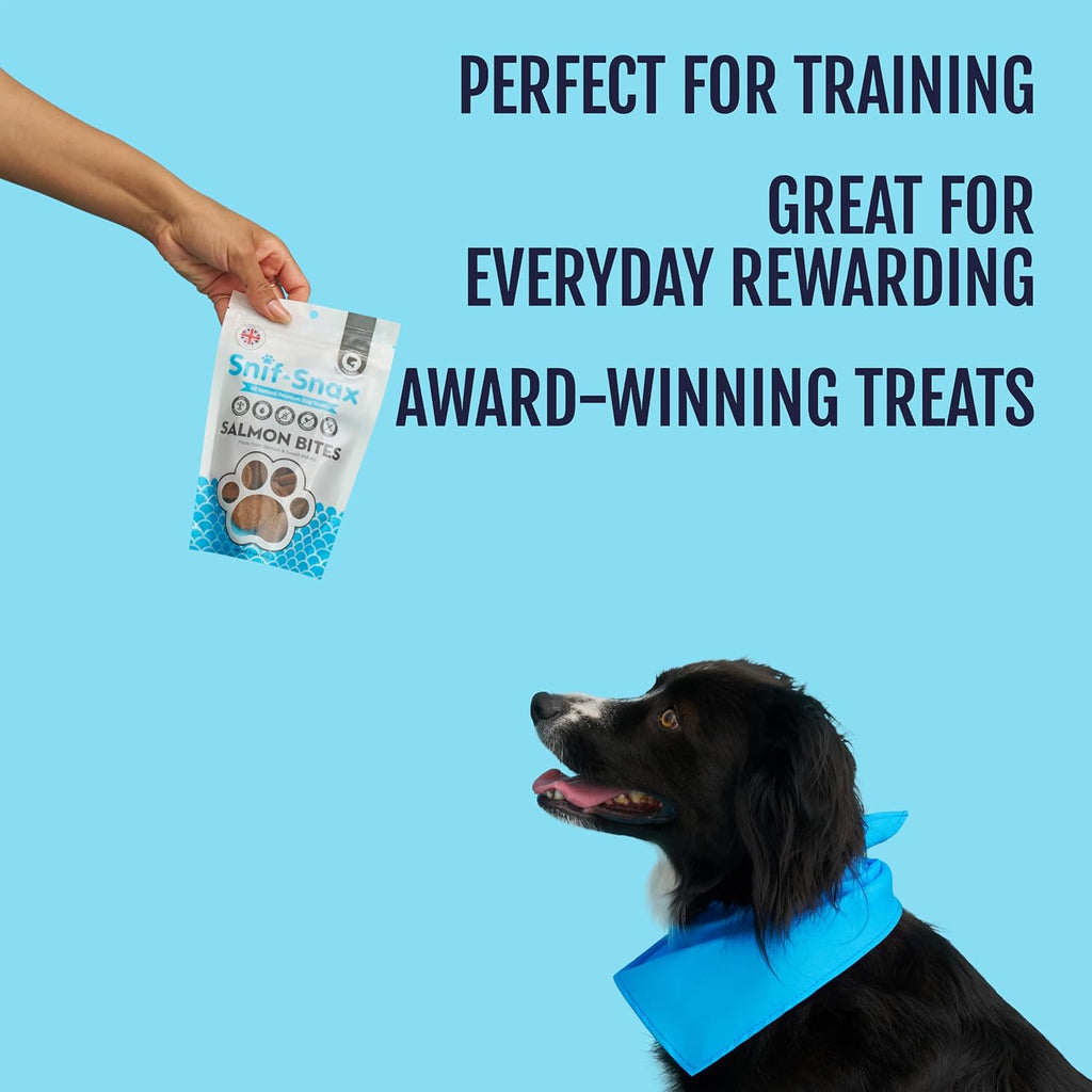 Salmon Bites Dog Treats 3 Pack, All Natural Human-Grade Training Treats for Dogs, Healthy Grain-Free Puppy & Adult Rewards, Protein Rich Soft Salmon Snacks