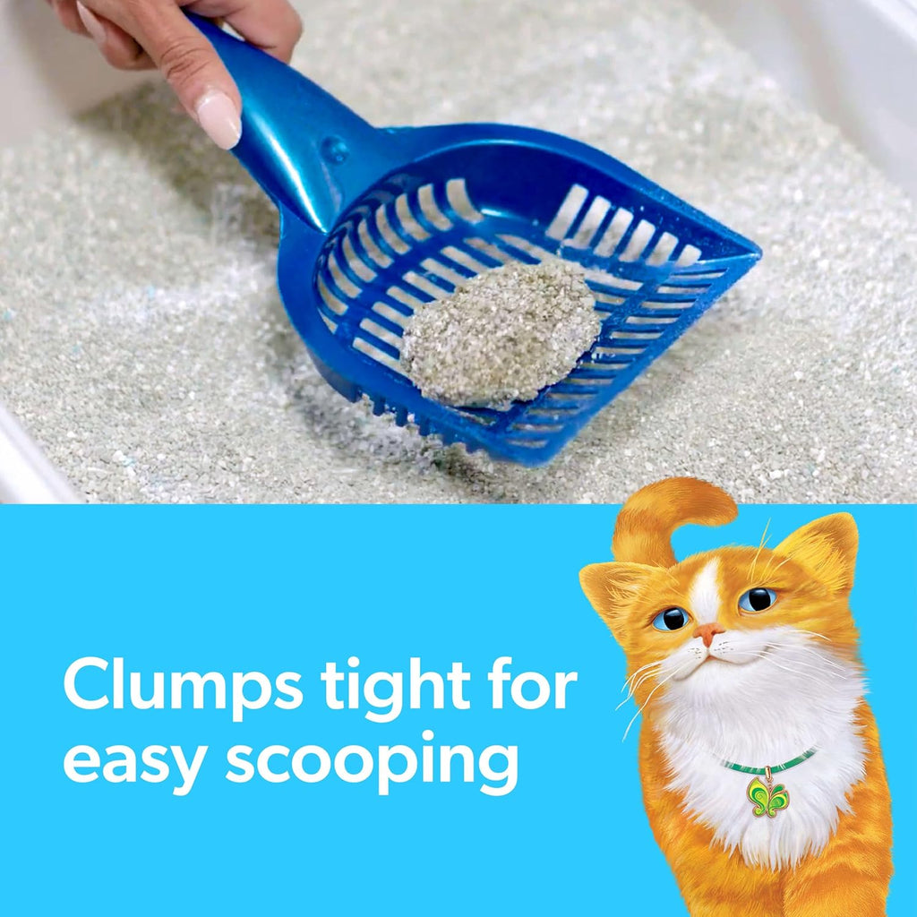Clumping Litter with Febreze Freshness Gain Original Scent, Low-Dust Formula with Ammonia Block Technology, 14 Lb. Box