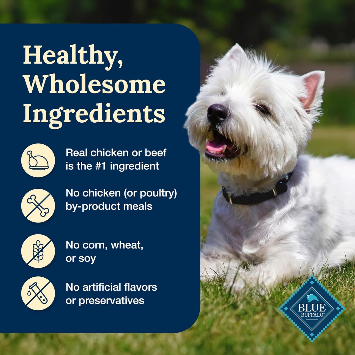 Delectables Natural Wet Dog Food Toppers Variety Pack, Tasty Chicken & Hearty Beef, Cuts in Gravy, 3-Oz. (12 Pouches, 6 of Each Flavor)