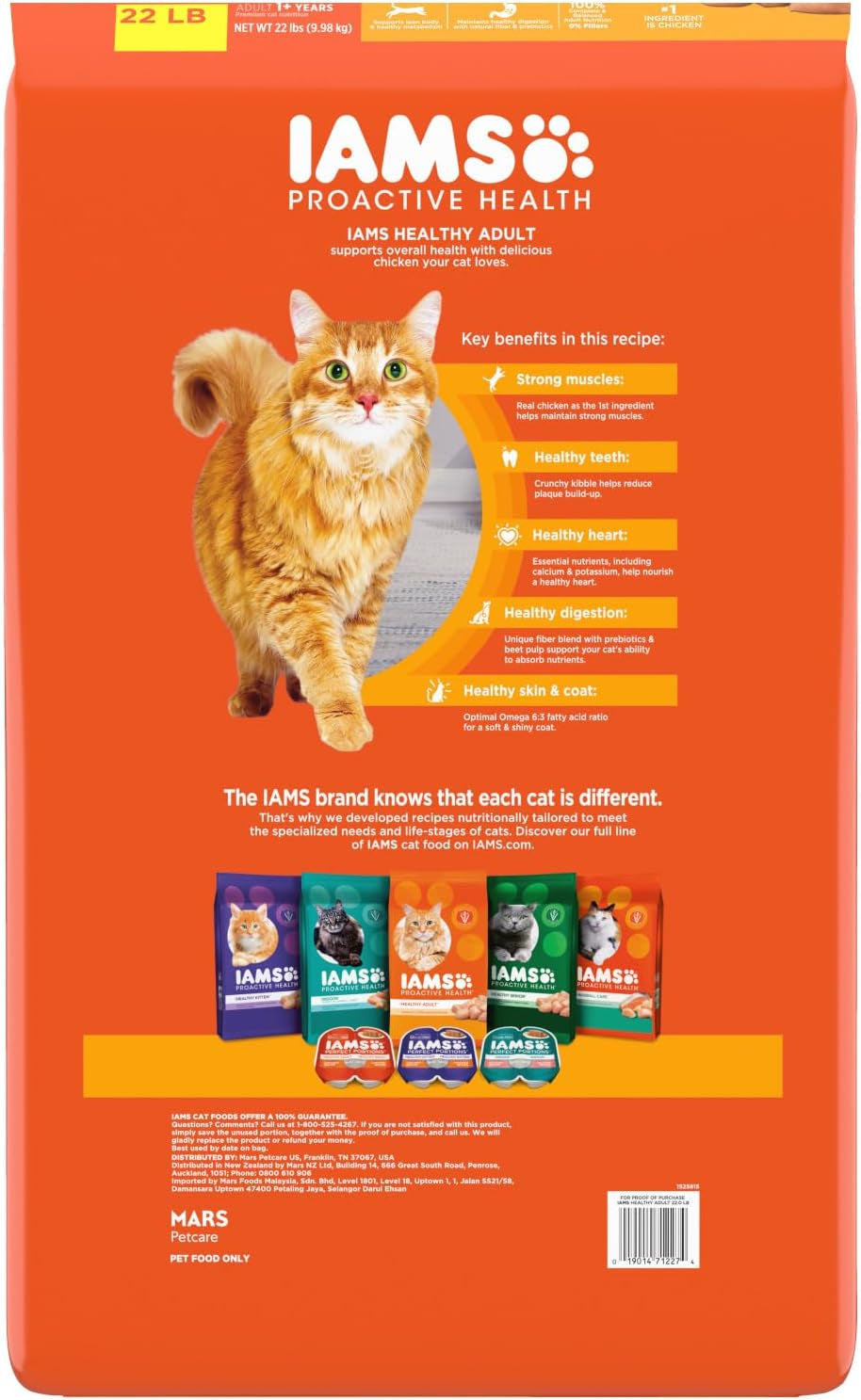 Proactive Health Adult Healthy Dry Cat Food with Chicken, 22 Lb. Bag
