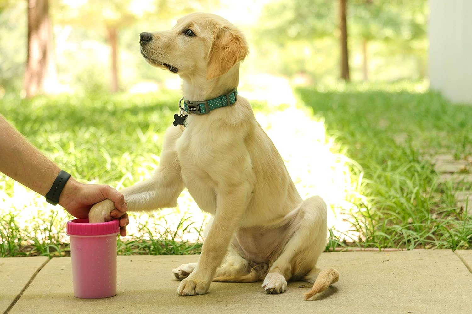 Pink Medium Dog Paw Cleaner, Mudbuster - Premium Quality Pet Supplies and Dog Accessories for Dogs, Easy to Use, Mess Free, BPA Free, Patented Product