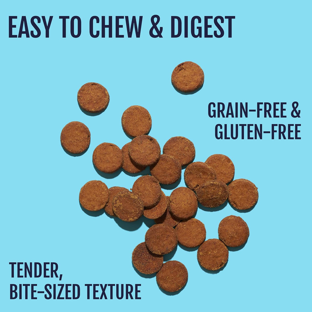 Salmon Bites Dog Treats 3 Pack, All Natural Human-Grade Training Treats for Dogs, Healthy Grain-Free Puppy & Adult Rewards, Protein Rich Soft Salmon Snacks