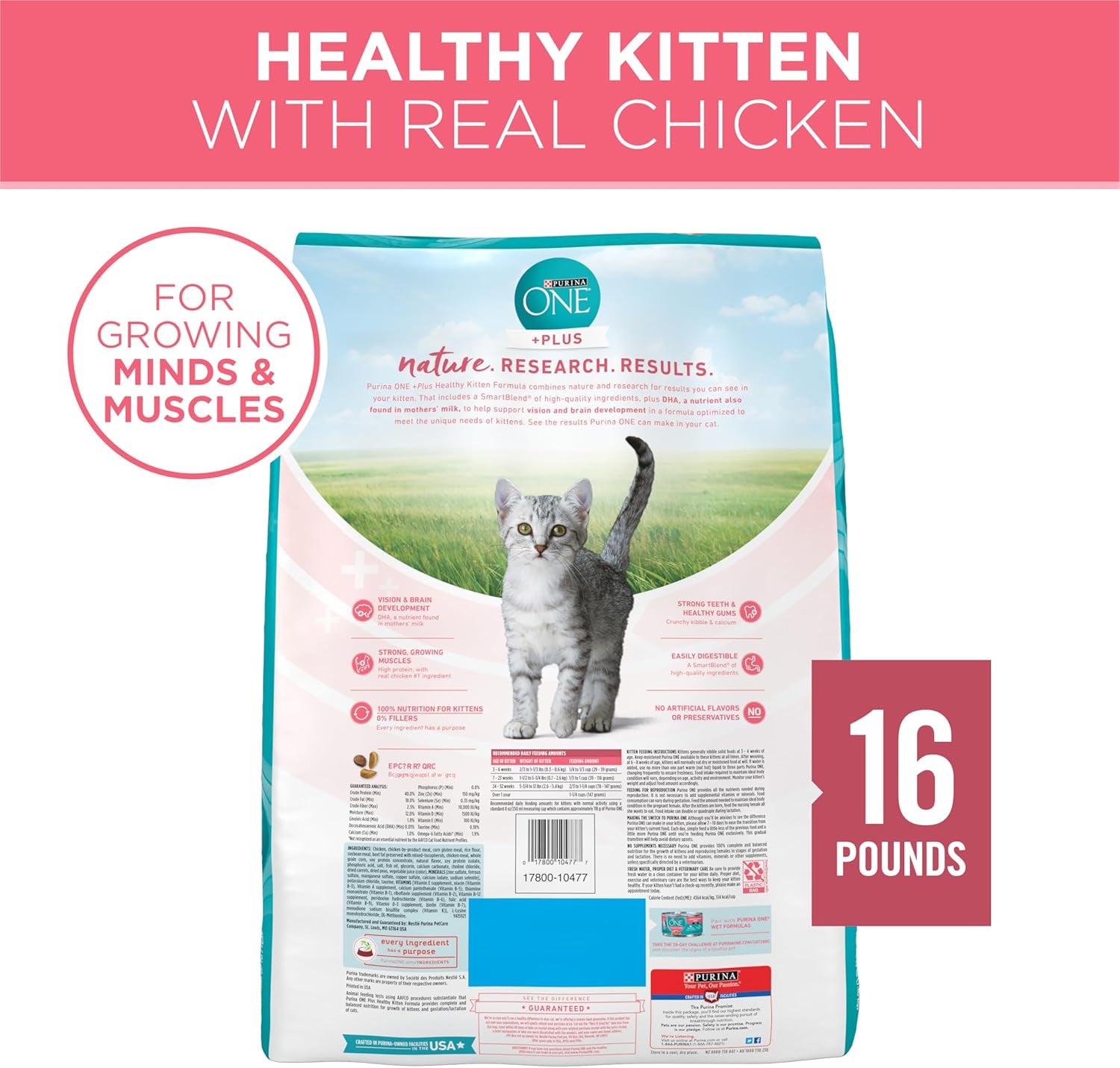 High Protein, Natural Dry Kitten Food, +Plus Healthy Kitten Formula - 16 Lb. Bag