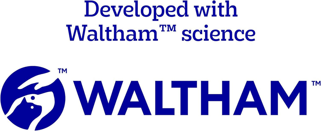 Dentastix Large Breed Dog Treats, Original, Beef & Fresh Flavor, 2.73 Lb. Variety Pack (51 Treats)