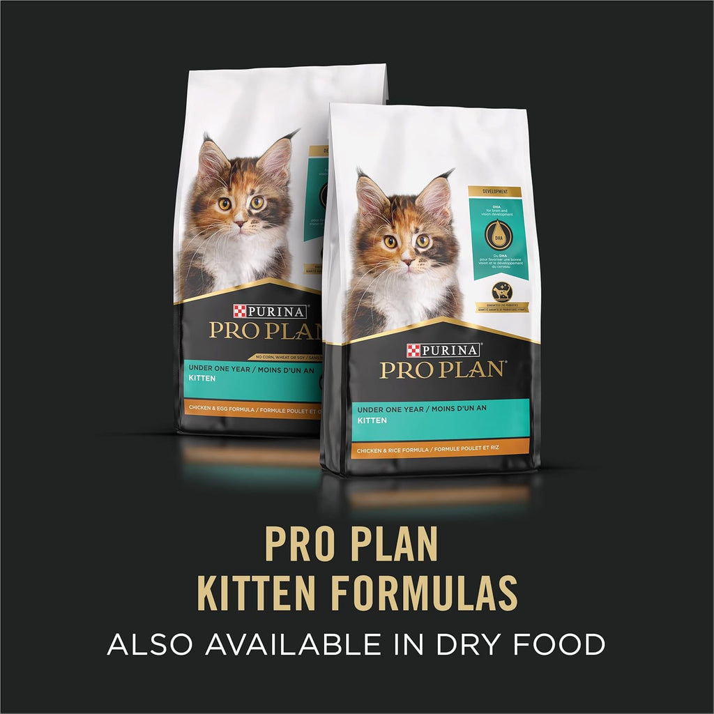 High Protein Wet Kitten Food Variety Pack, DEVELOPMENT Kitten Favorites - (Pack of 24) 3 Oz. Cans