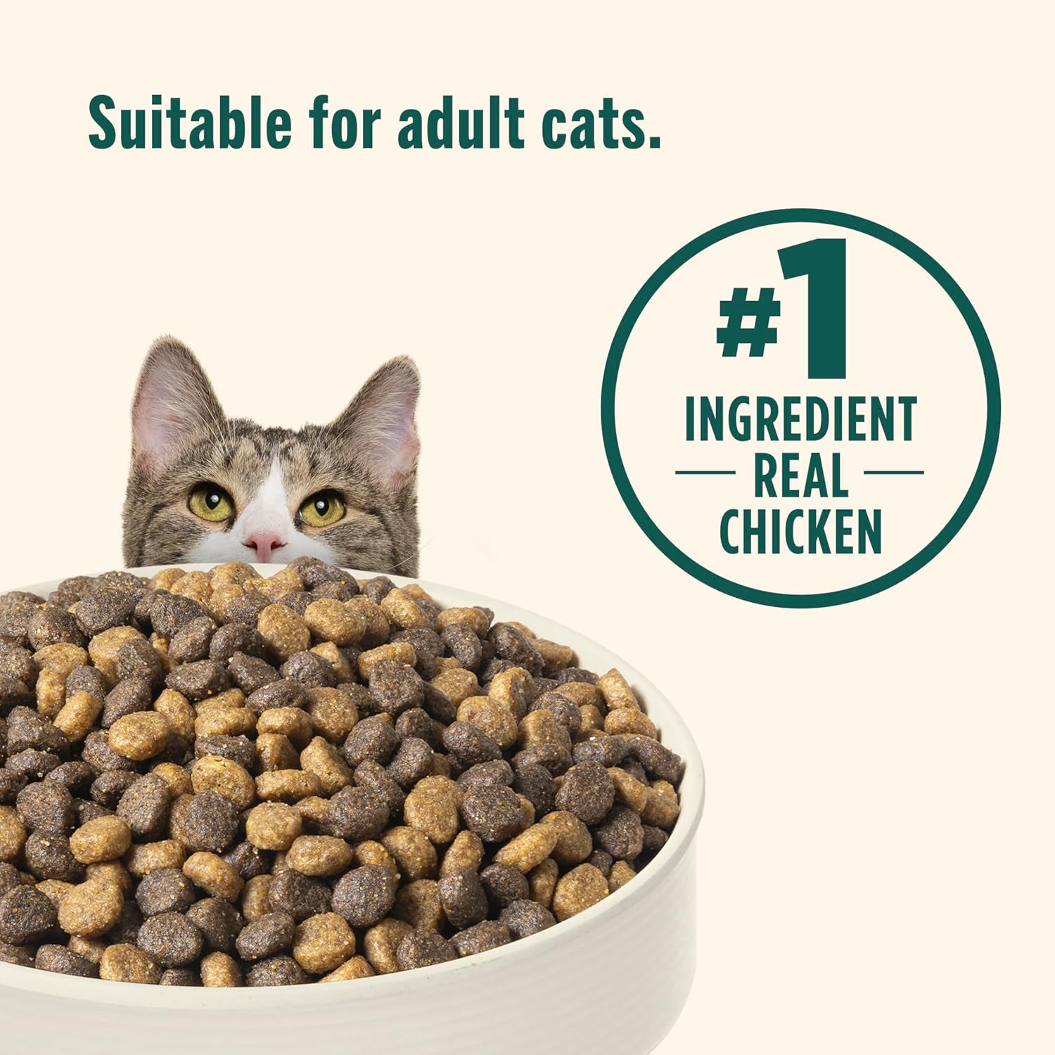 Indoor Complete Chicken, Lentils & Salmon Recipe Dry Cat Food, 6 Lb. Bag, Packaging May Vary (Rachael Ray)