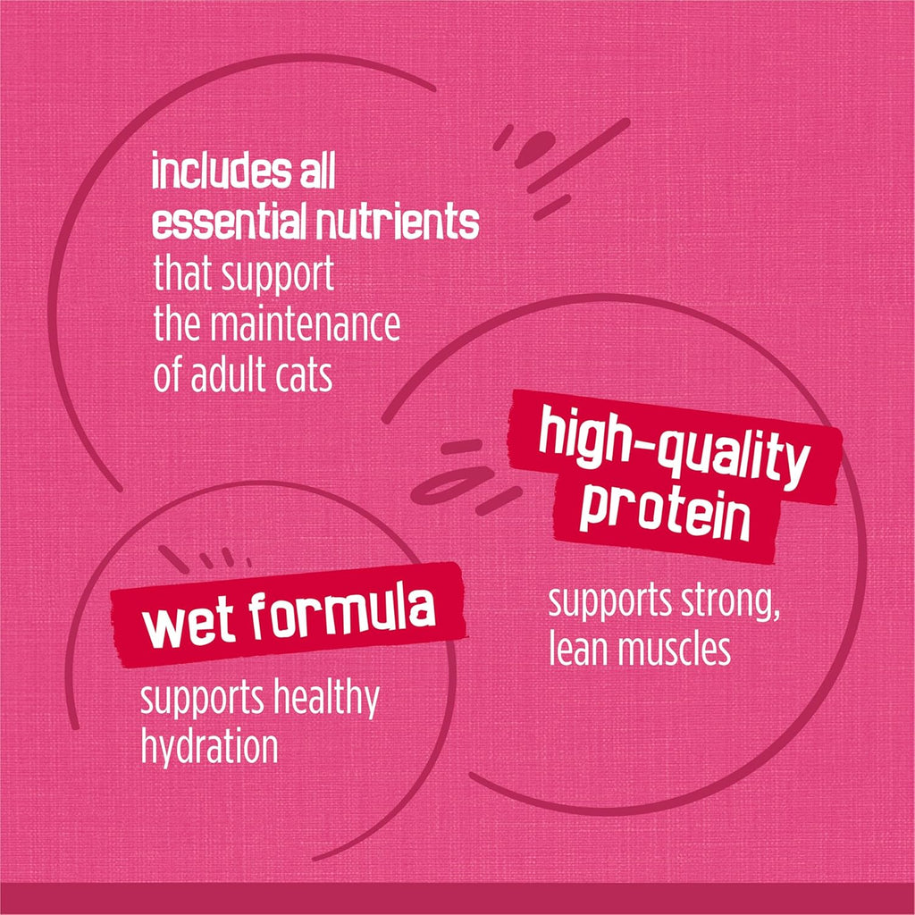 Purina  Gravy Wet Cat Food Variety Pack, Surfin’ and Turfin’ Prime Filets Favorites - (Pack of 40) 5.5 Oz. Cans