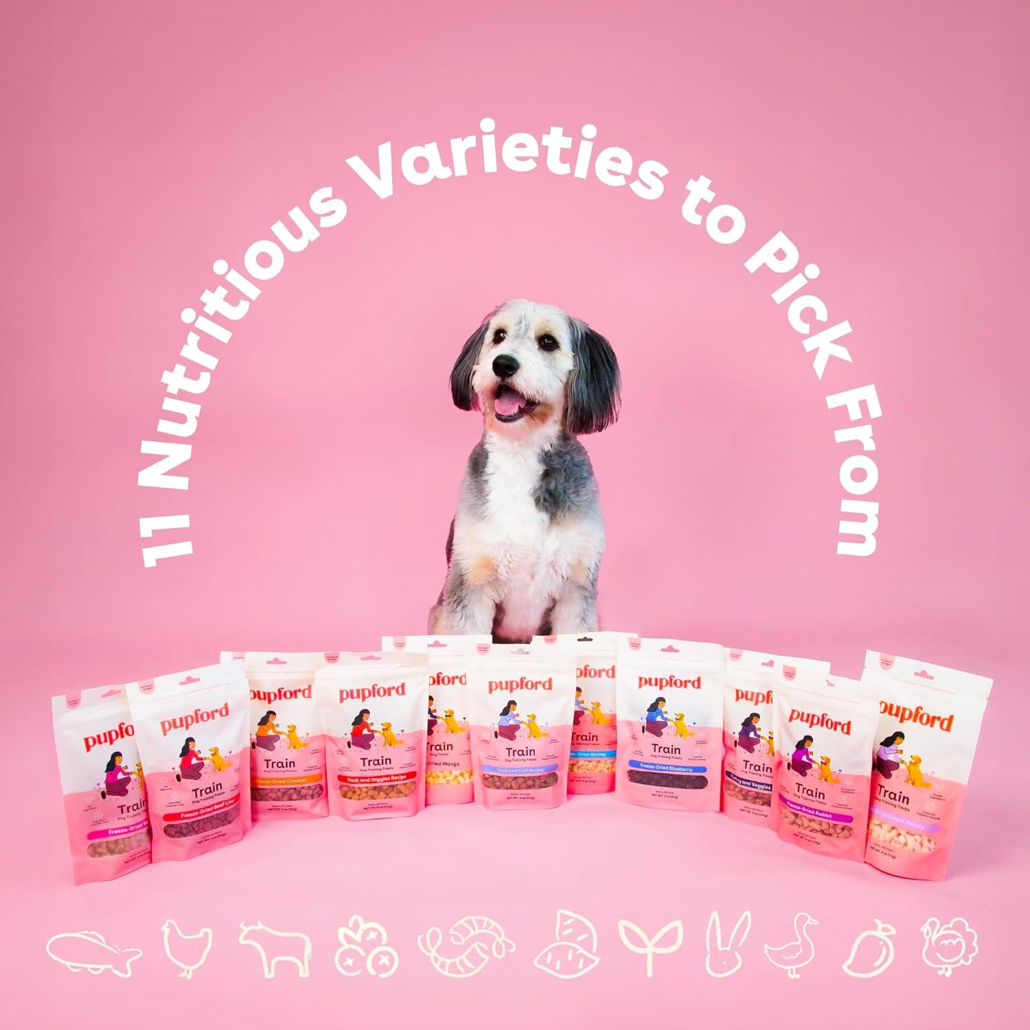 Freeze Dried Training Treats for Dogs & Puppies, 475+ Two Ingredient Bites (Chicken, 4 Oz)