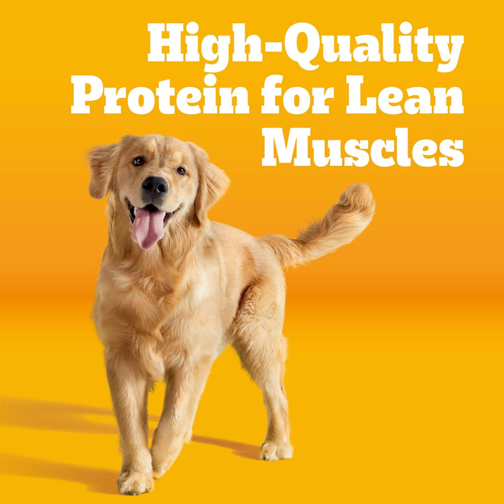 Complete Nutrition Adult Dry Dog Food, Grilled Steak & Vegetable Flavor, 18 Lb. Bag