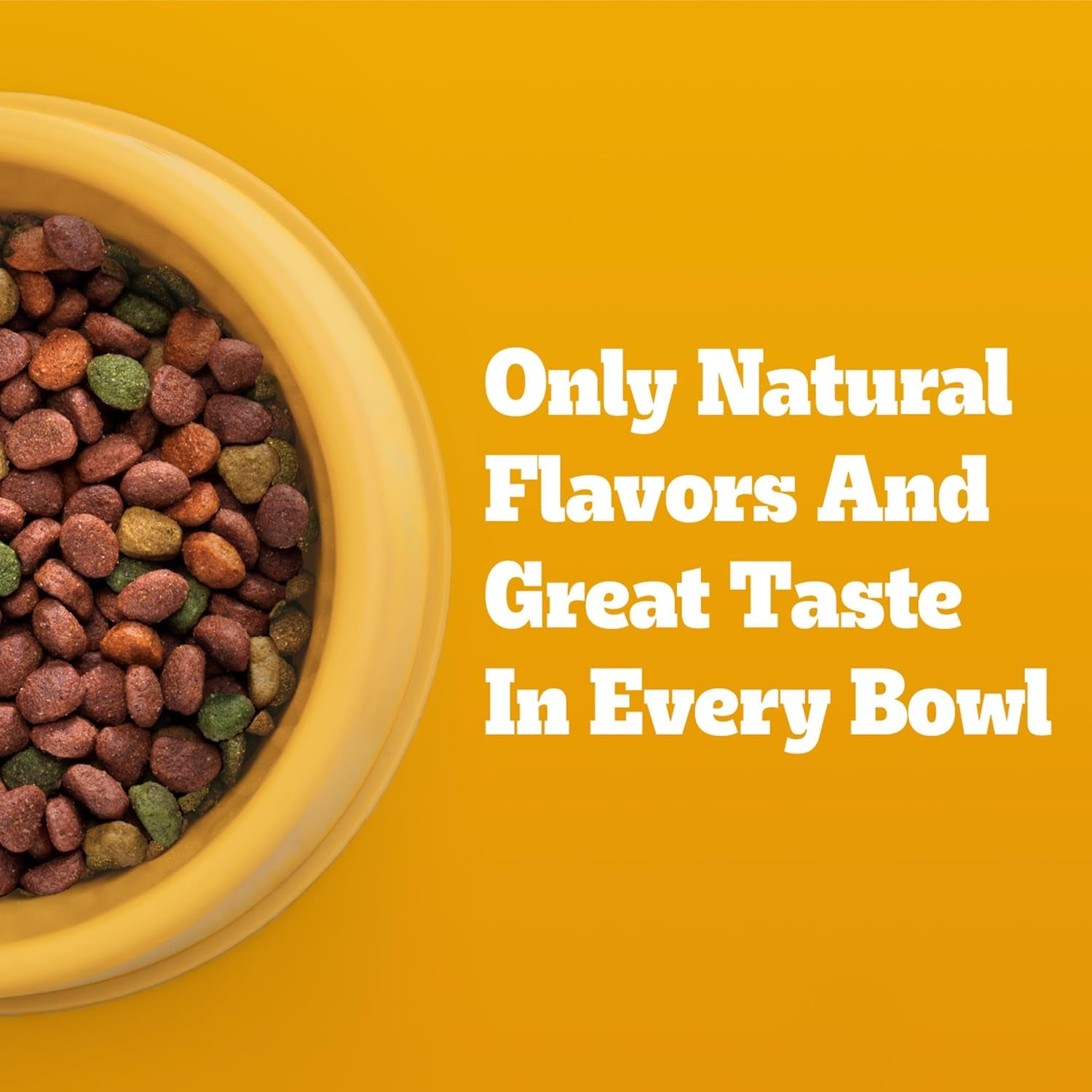 Complete Nutrition Adult Dry Dog Food, Grilled Steak & Vegetable Flavor, 18 Lb. Bag