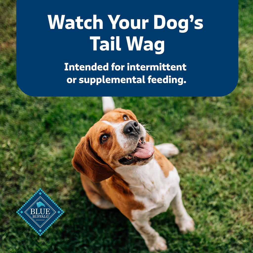 Health Bars Crunchy Dog Biscuits, Oven-Baked with Natural Ingredients, Pumpkin & Cinnamon, 16-Oz Bag