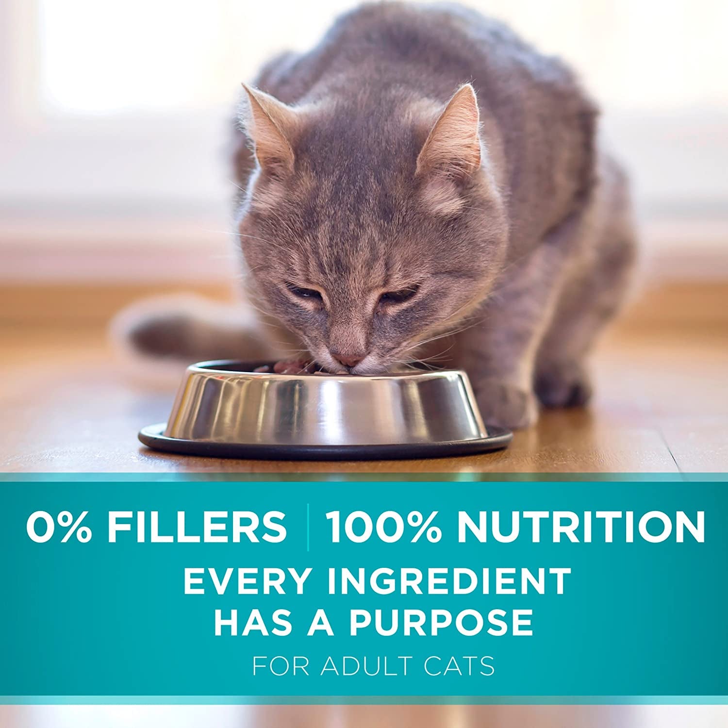 Natural Dry Cat Food, Tender Selects Blend with Real Salmon - 7 Lb. Bag