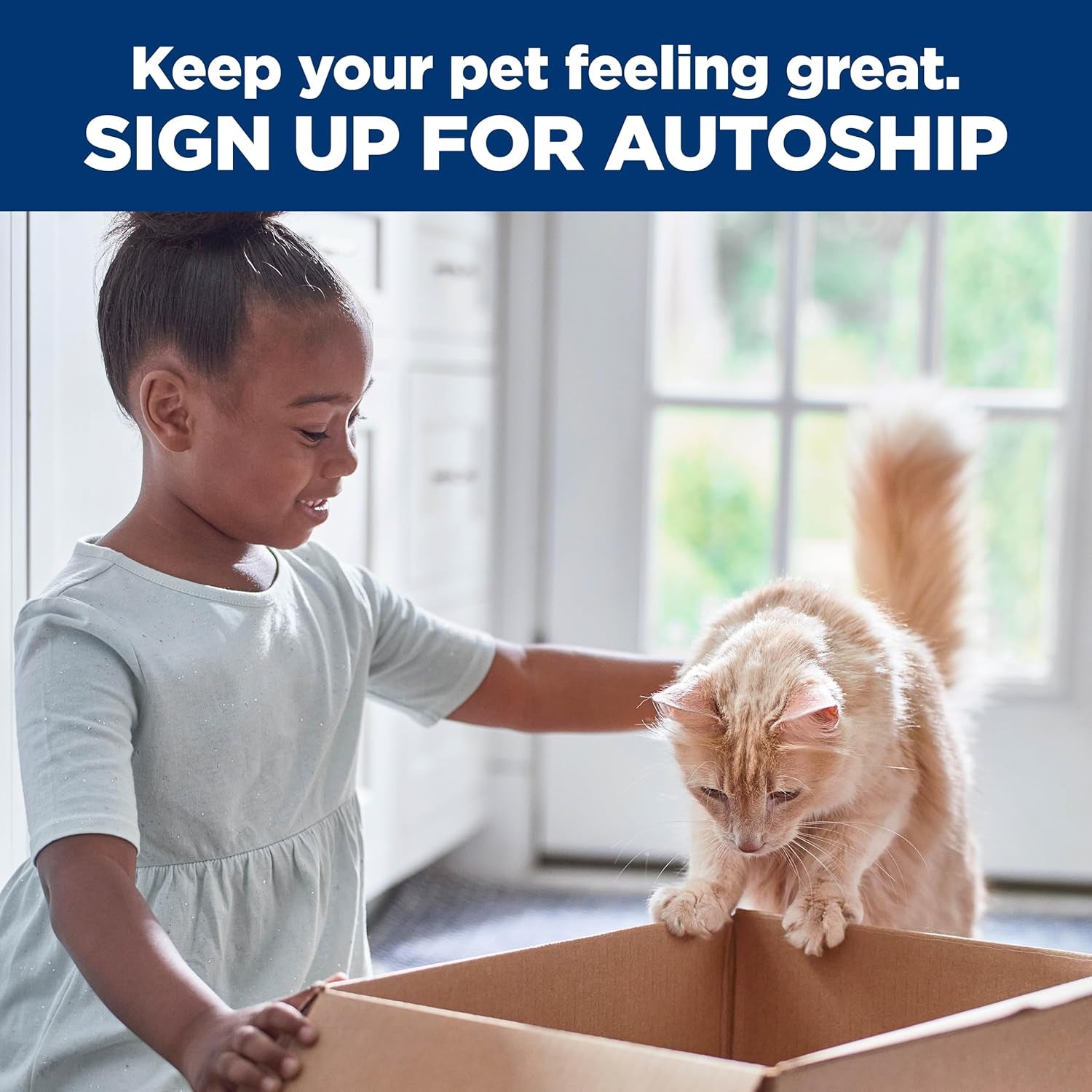 Adult 1-6, Adult 1-6 Premium Nutrition, Dry Cat Food, Chicken Recipe, 7 Lb Bag