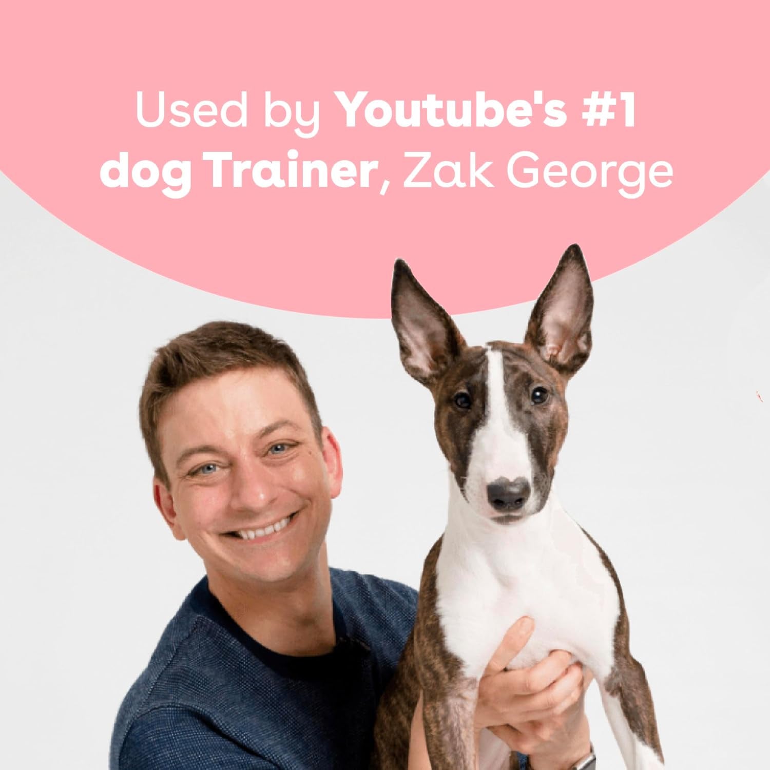 Freeze Dried Training Treats for Dogs & Puppies, 475+ Two Ingredient Bites (Chicken, 4 Oz)