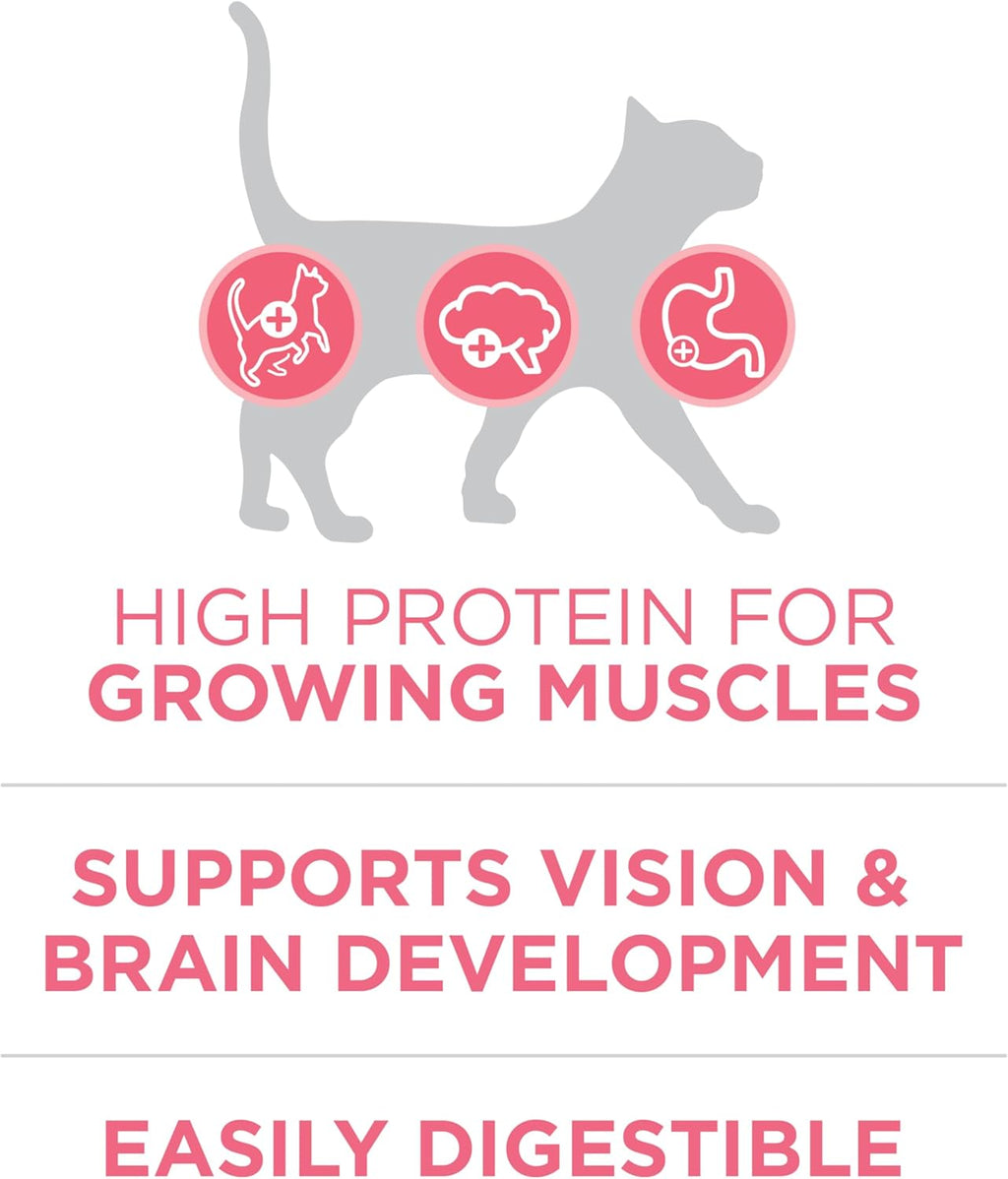 High Protein, Natural Dry Kitten Food, +Plus Healthy Kitten Formula - 16 Lb. Bag